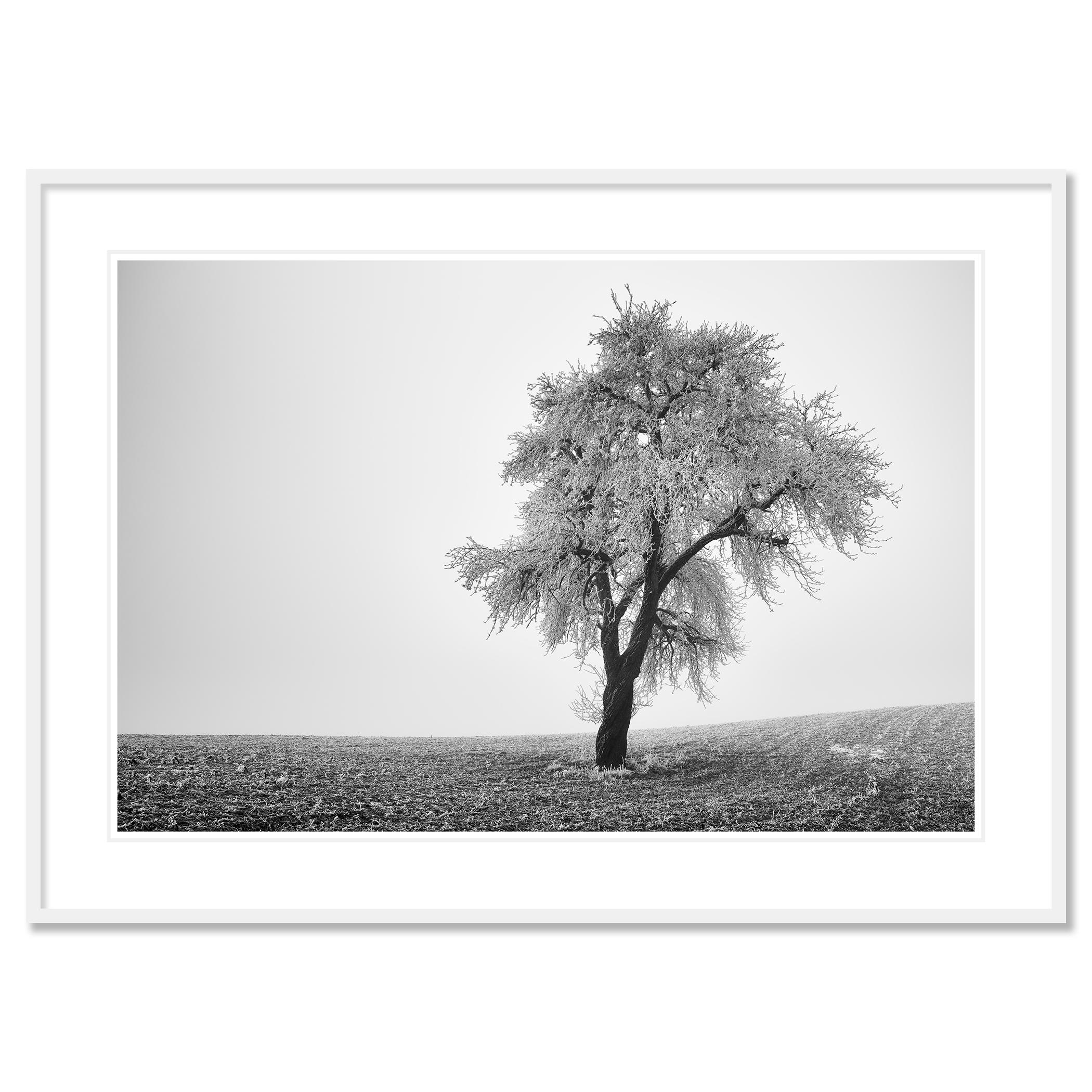 Tree in Frozen Field Study 1, Austria - no. 21365 // minimalist landscape photography
Pigment ink print, limited edition of 7. Prints are made to order in limited editions on Hahnemuehle Photo Rag Baryta. Each print is stamped on the back and