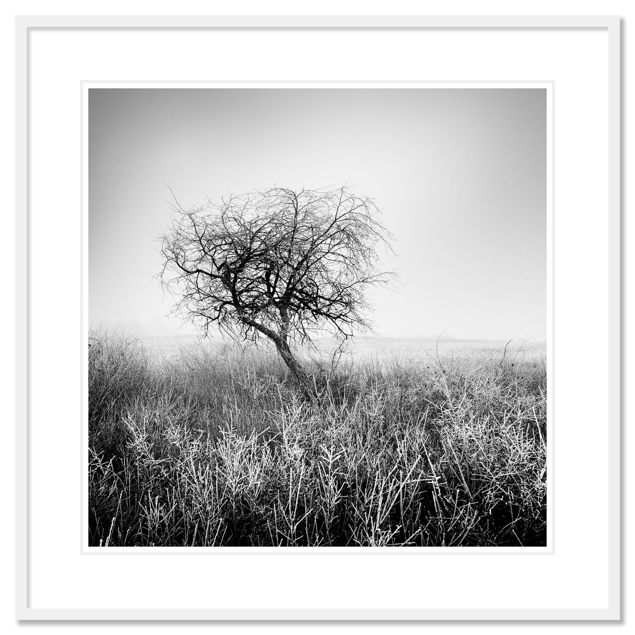 Fotografia paesaggistica in bianco e nero. Stampa con inchiostro a pigmenti d'archivio in edizione limitata di 9 esemplari. Tutte le stampe di Gerald Berghammer sono realizzate su ordinazione in edizione limitata su Hahnemuehle Photo Rag Baryta.