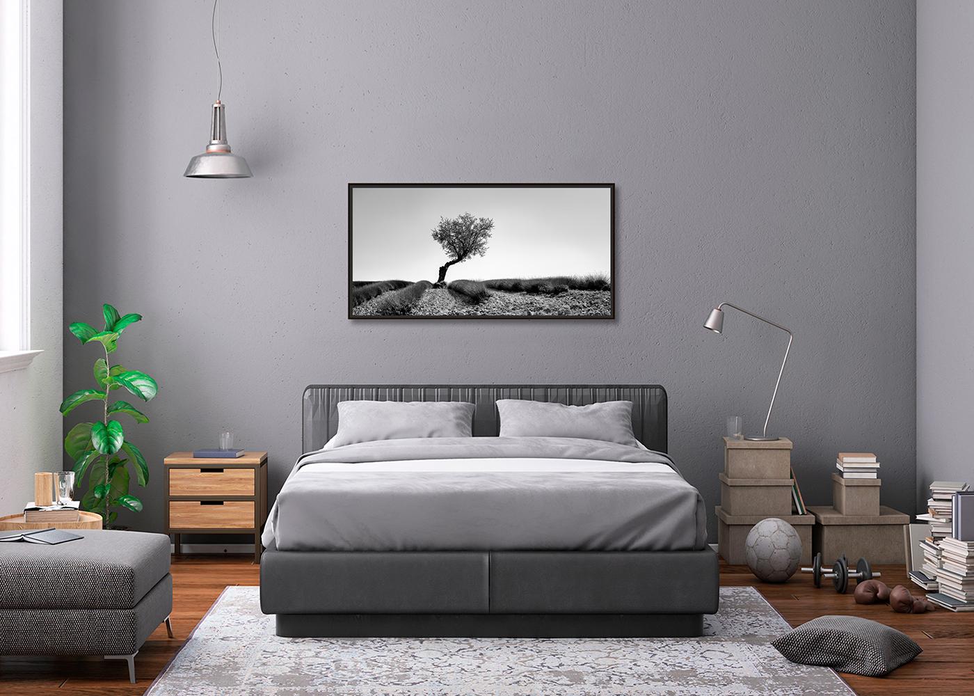 Tree in Lavender Field Panorama, Schwarz-Weiß-Fotografie, limitierte Auflage im Angebot 1