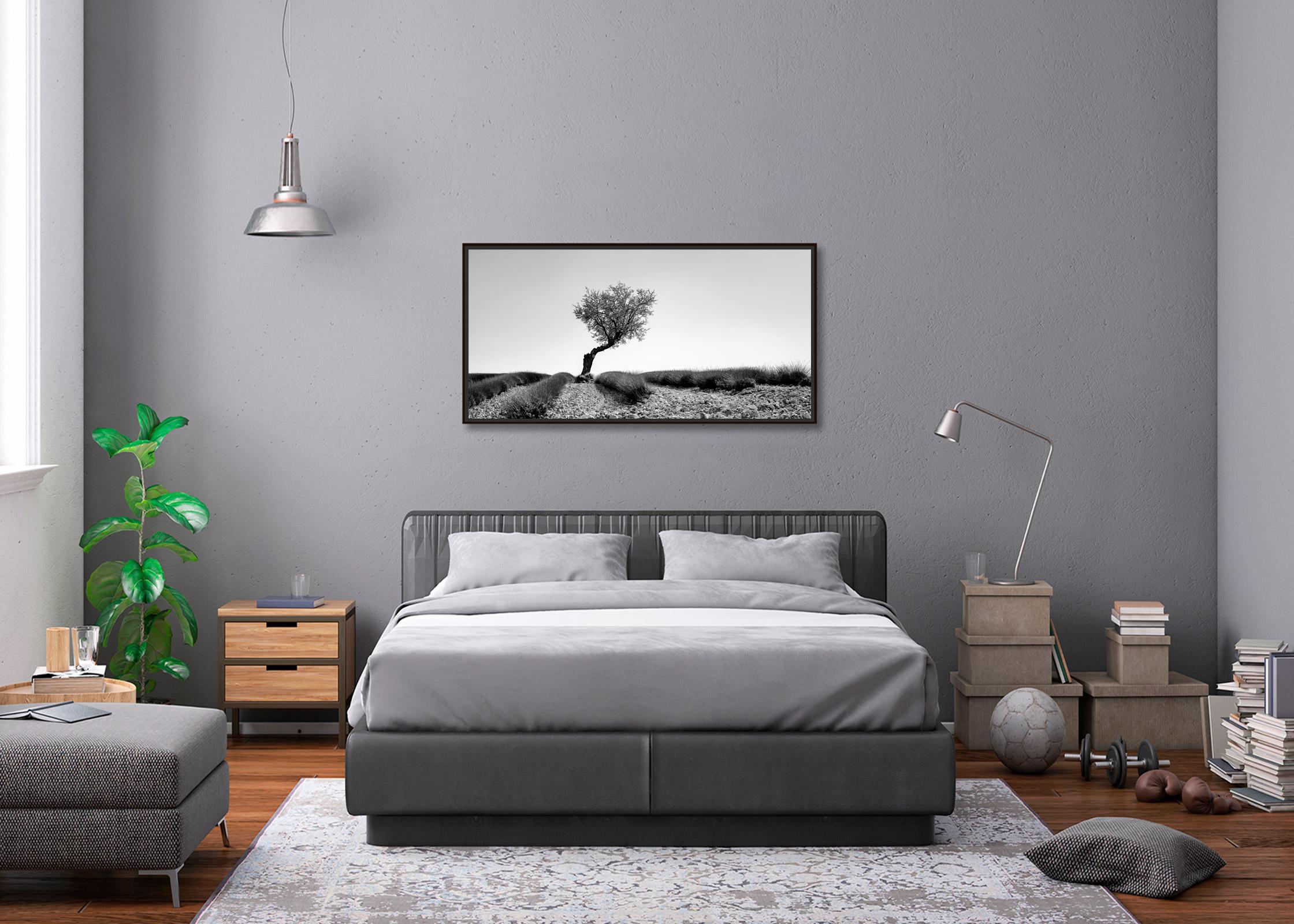 Tree in Lavender Field, Panorama, France, black white art landscape photography For Sale 2