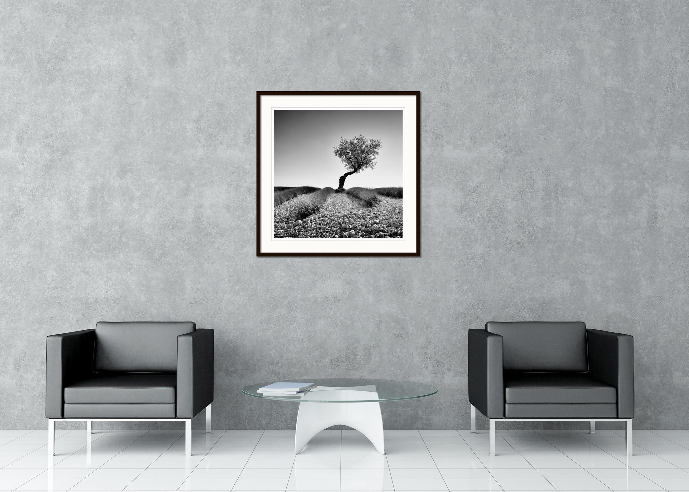  Black and white fine art landscape photography. Archival pigment ink print as part of a limited edition of 9. All Gerald Berghammer prints are made to order in limited editions on Hahnemuehle Photo Rag Baryta. Each print is stamped on the back and