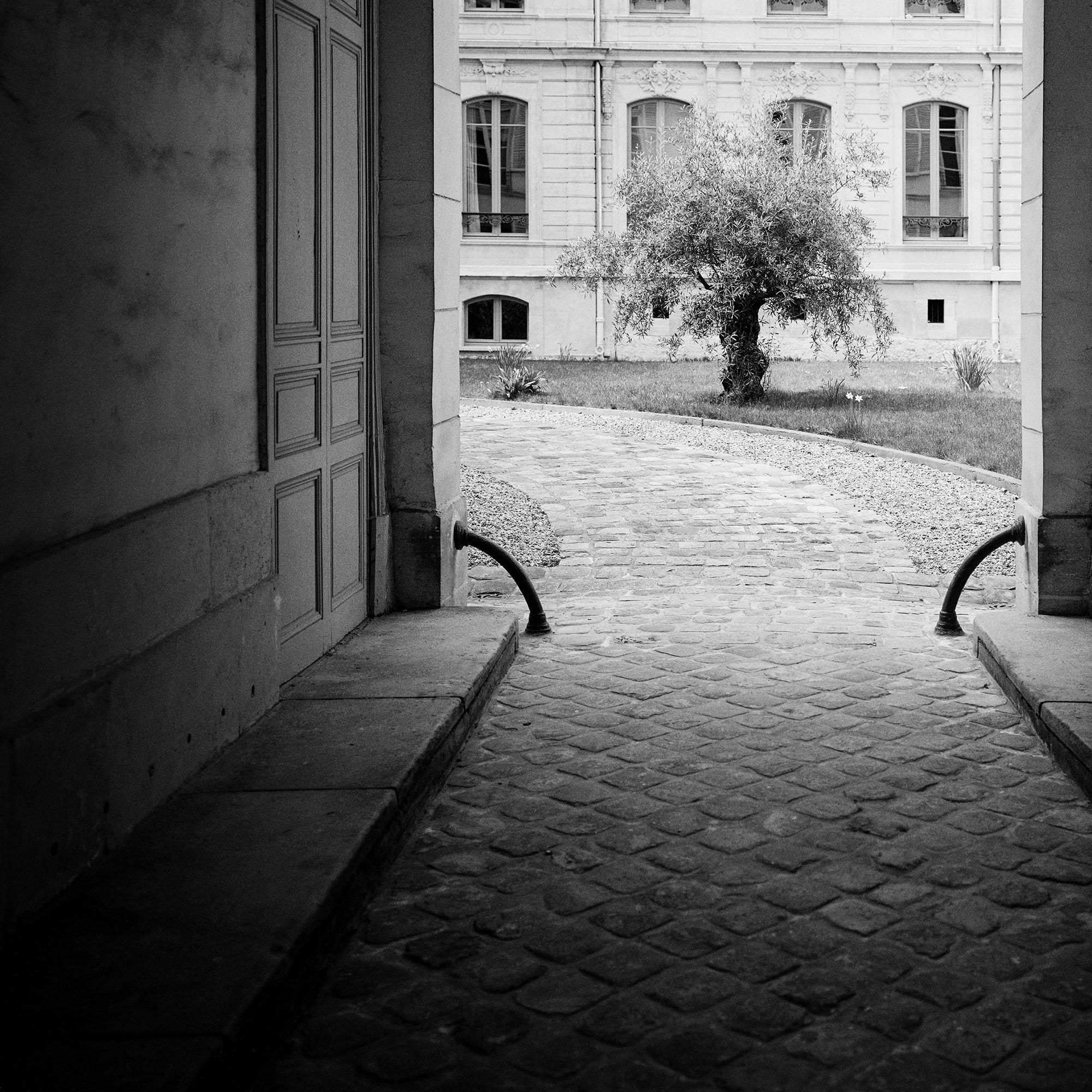 Árbol en el patio, París, fotografía en blanco y negro, edición limitada en venta 5