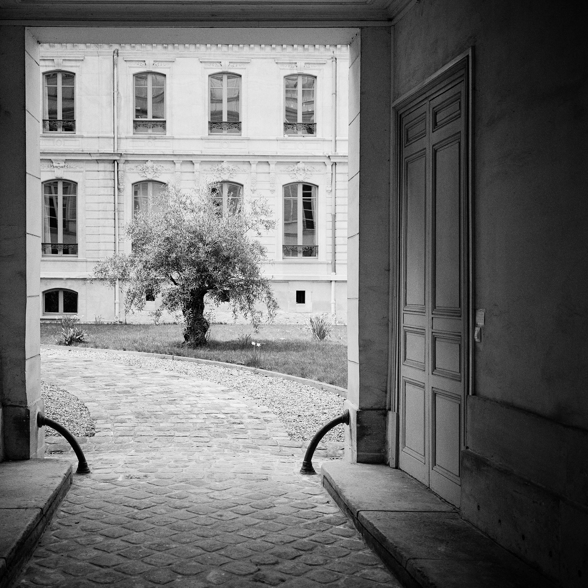 Árbol en el patio, París, fotografía en blanco y negro, edición limitada en venta 6