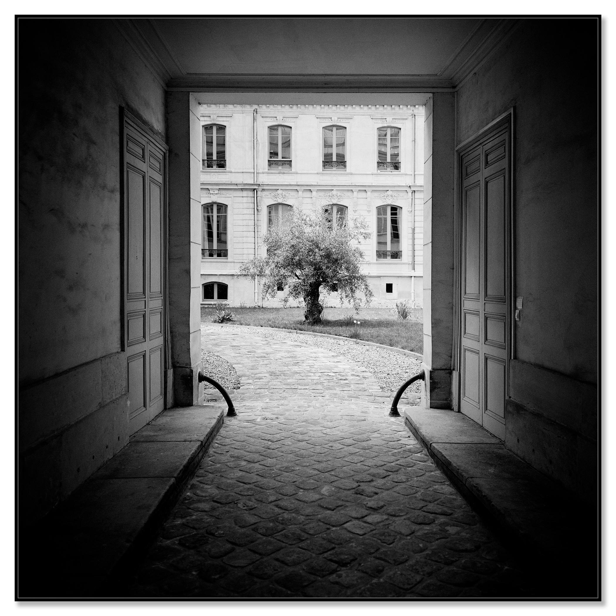 Árbol en el patio, París, fotografía en blanco y negro, edición limitada - Photograph de Gerald Berghammer