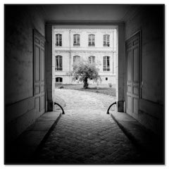 "Baum im Innenhof, Paris, Frankreich" limitierte Auflage von 9 Stück, monochrom, Stadtbild