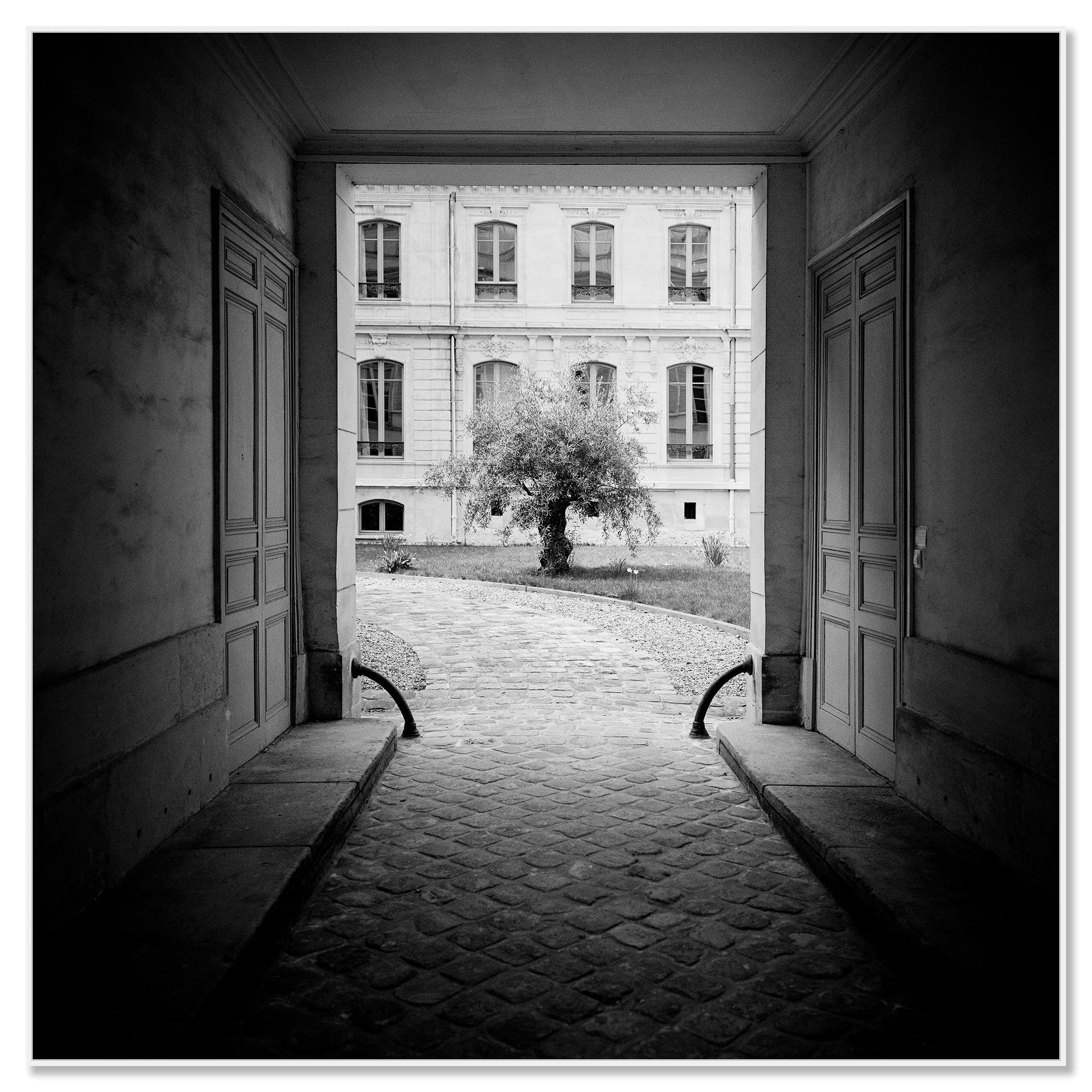 Árbol en el patio, París, fotografía en blanco y negro, edición limitada - Photograph Contemporáneo de Gerald Berghammer