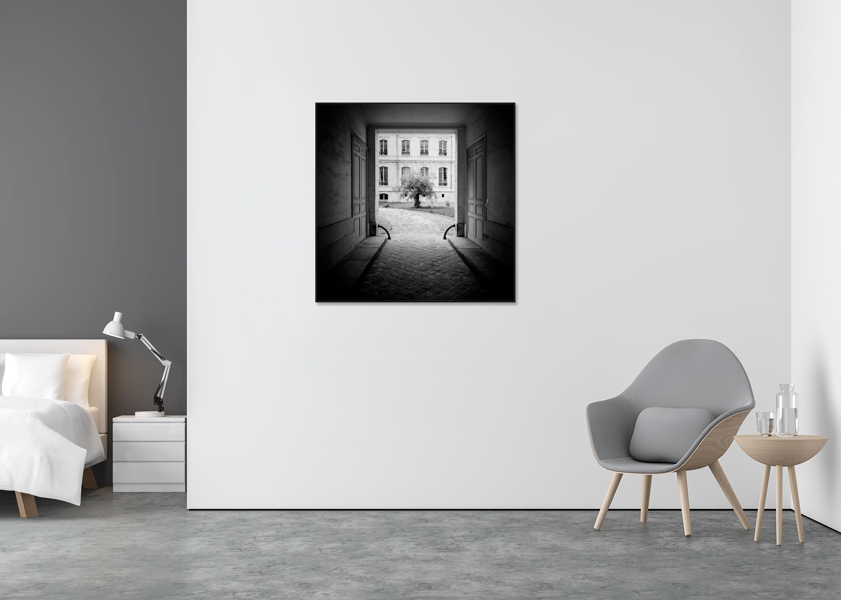 Árbol en el patio, París, fotografía en blanco y negro, edición limitada - Landscape Photograph Negro de Gerald Berghammer