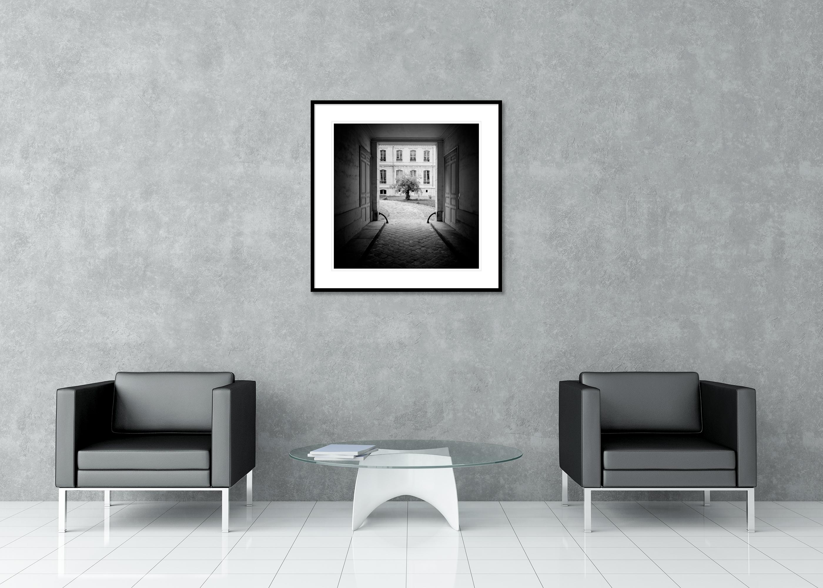 Árbol en el patio, París, fotografía en blanco y negro, edición limitada en venta 2