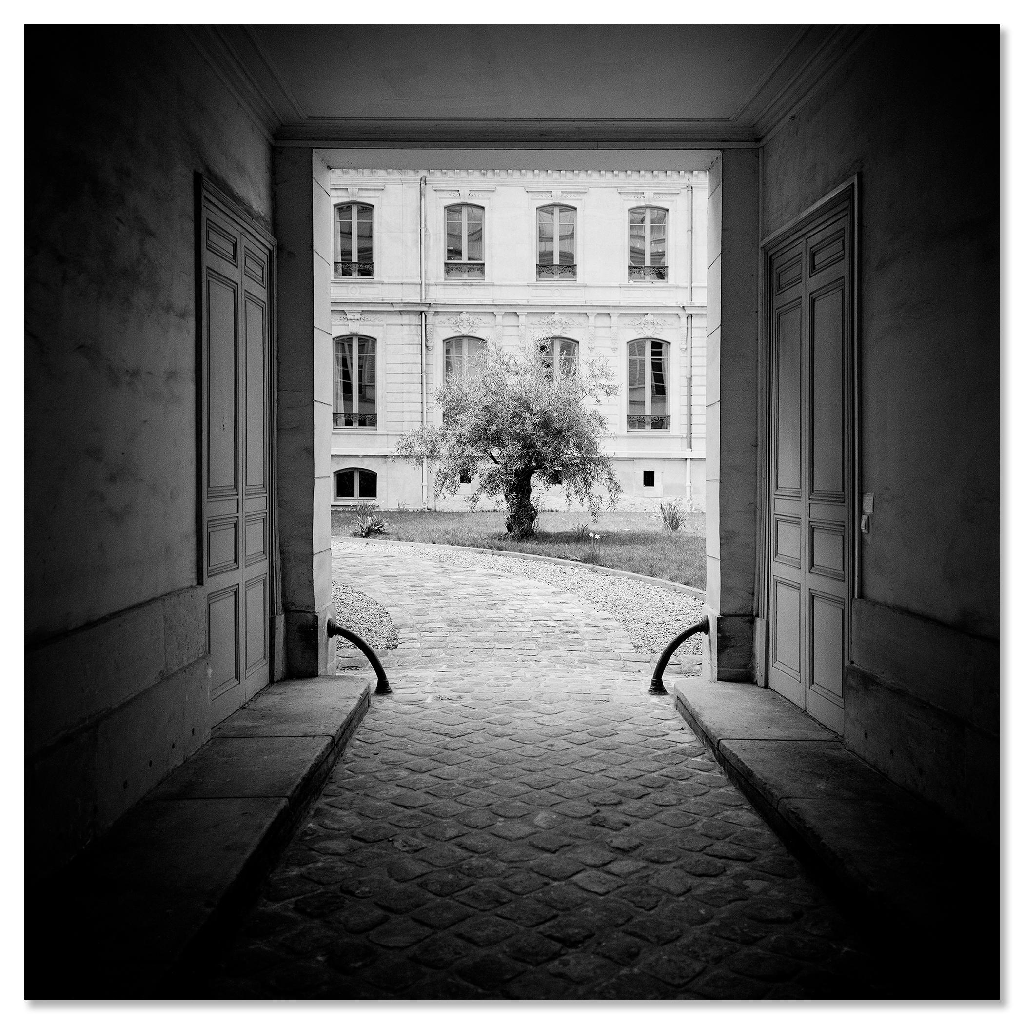 Árbol en el patio, París, fotografía en blanco y negro, edición limitada en venta 3