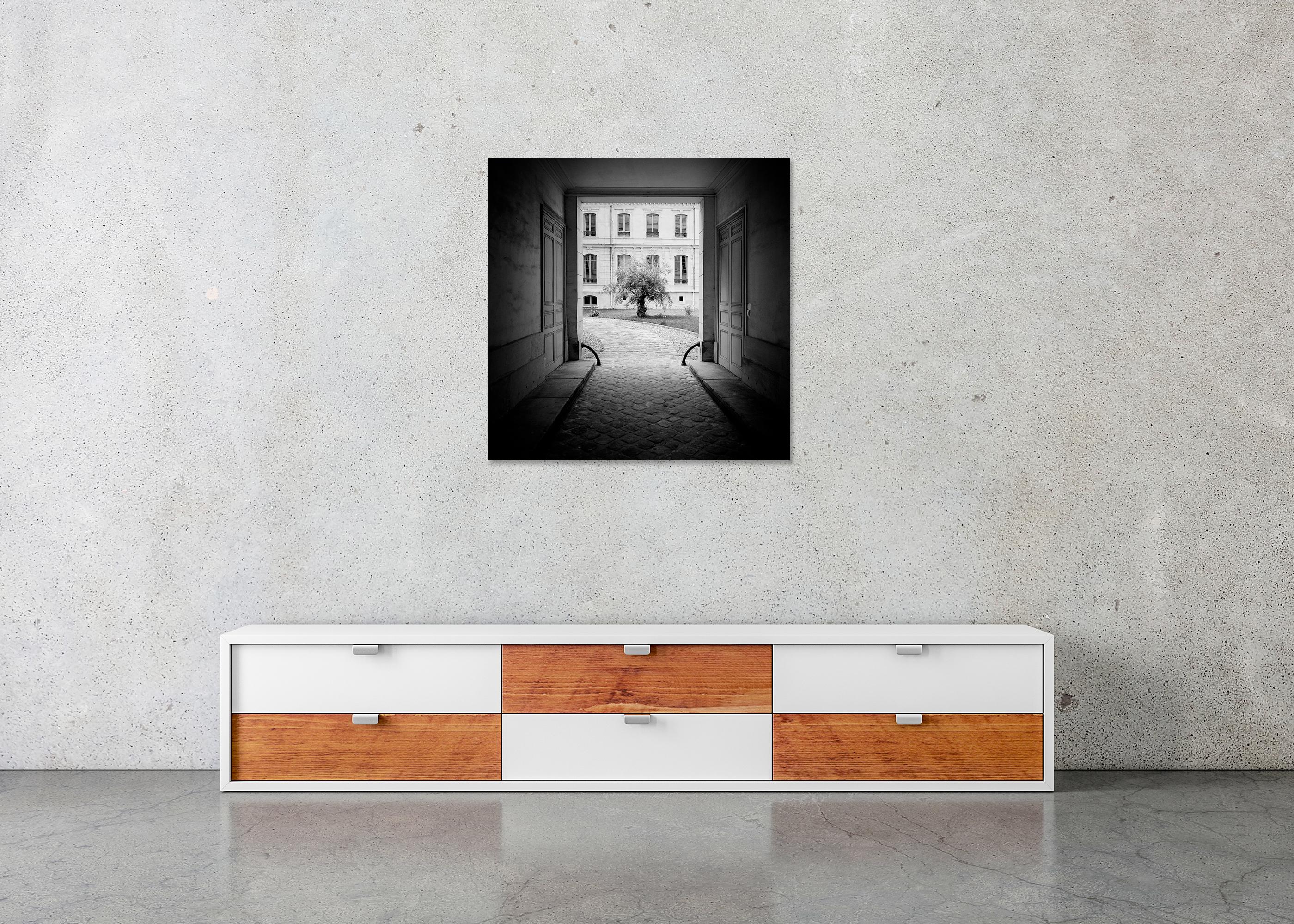 Árbol en el patio, París, fotografía en blanco y negro, edición limitada en venta 4