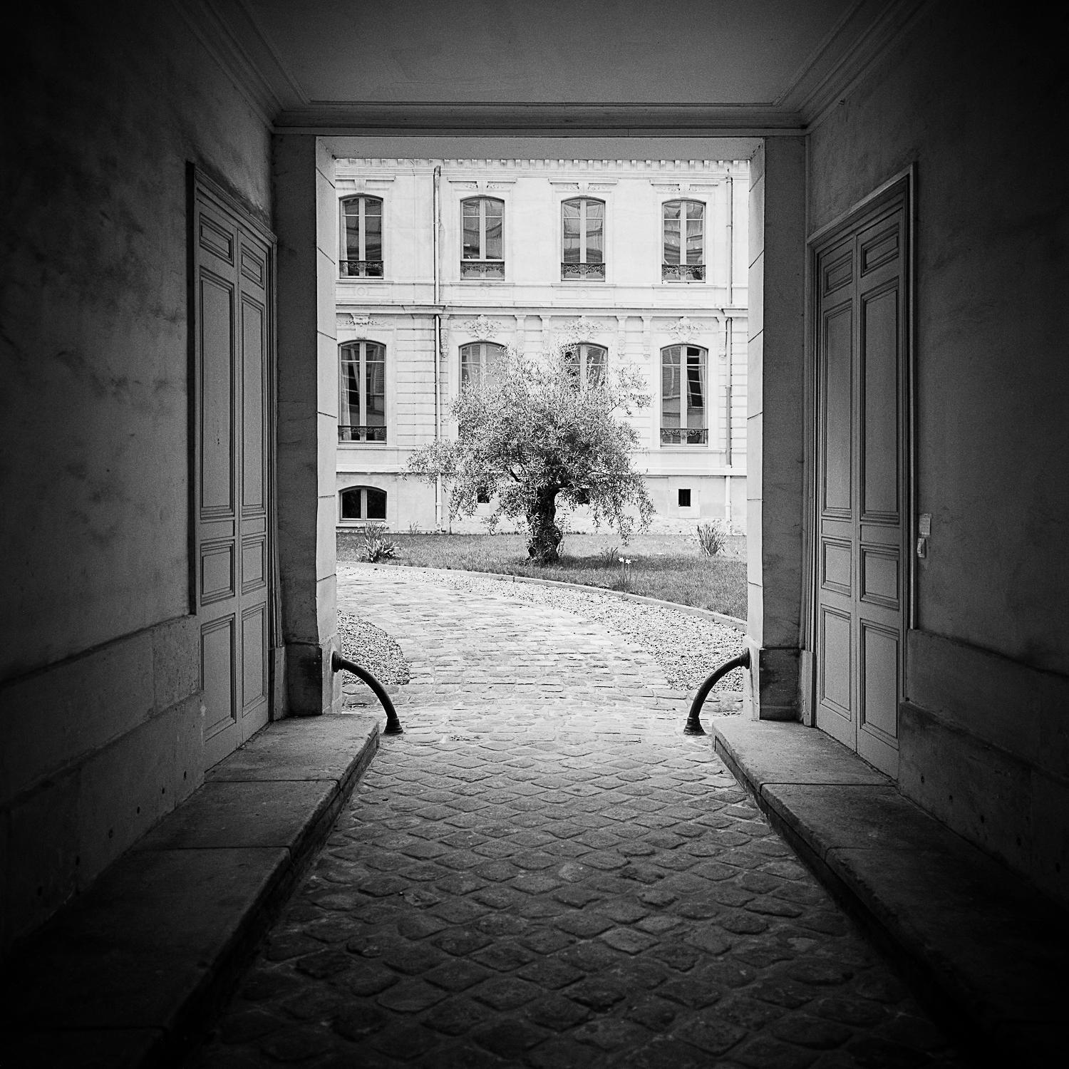 Tree in the Courtyard, Paris, photographie en noir et blanc, impression pigmentaire, encadrée - Photograph de Gerald Berghammer