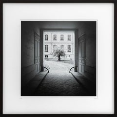 Tree in the Courtyard, Paris, black and white photography, pigment print, framed