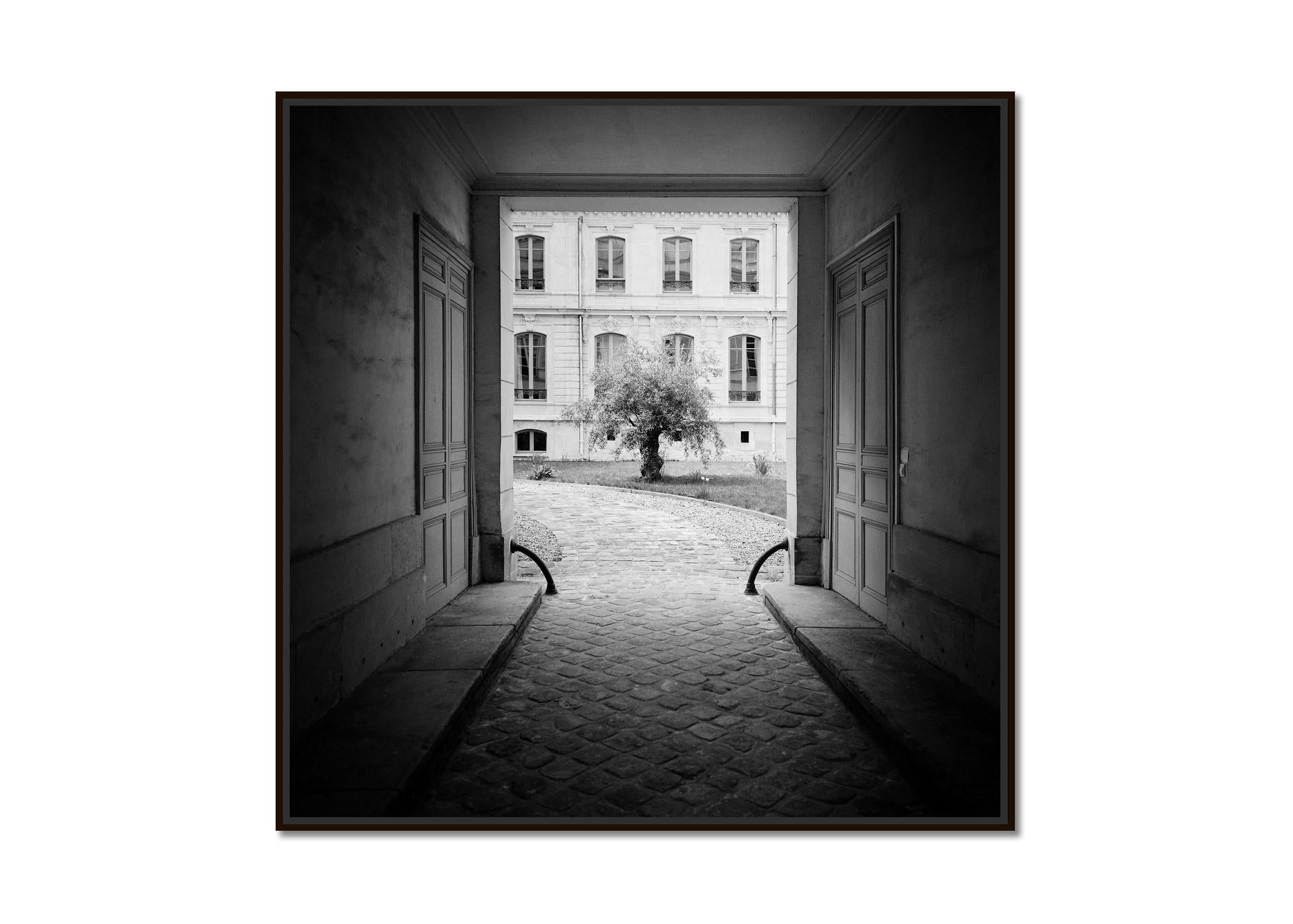 Tree in the Courtyard Paris France black white fine art cityscape photography - Photograph by Gerald Berghammer