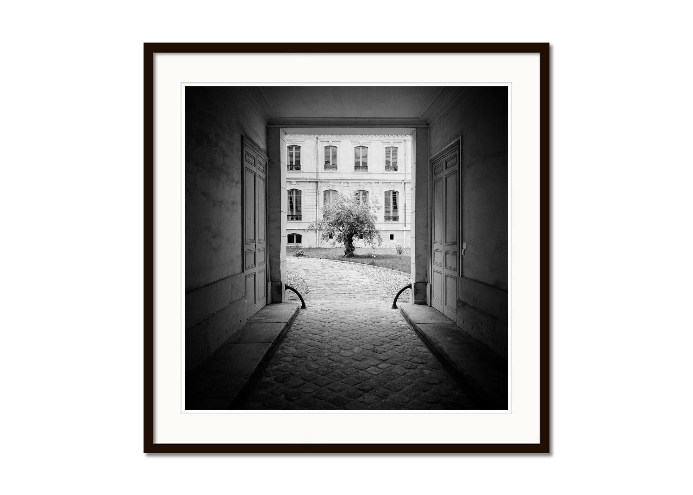 Tree in the Courtyard Paris France black white fine art cityscape photography - Black Landscape Photograph by Gerald Berghammer