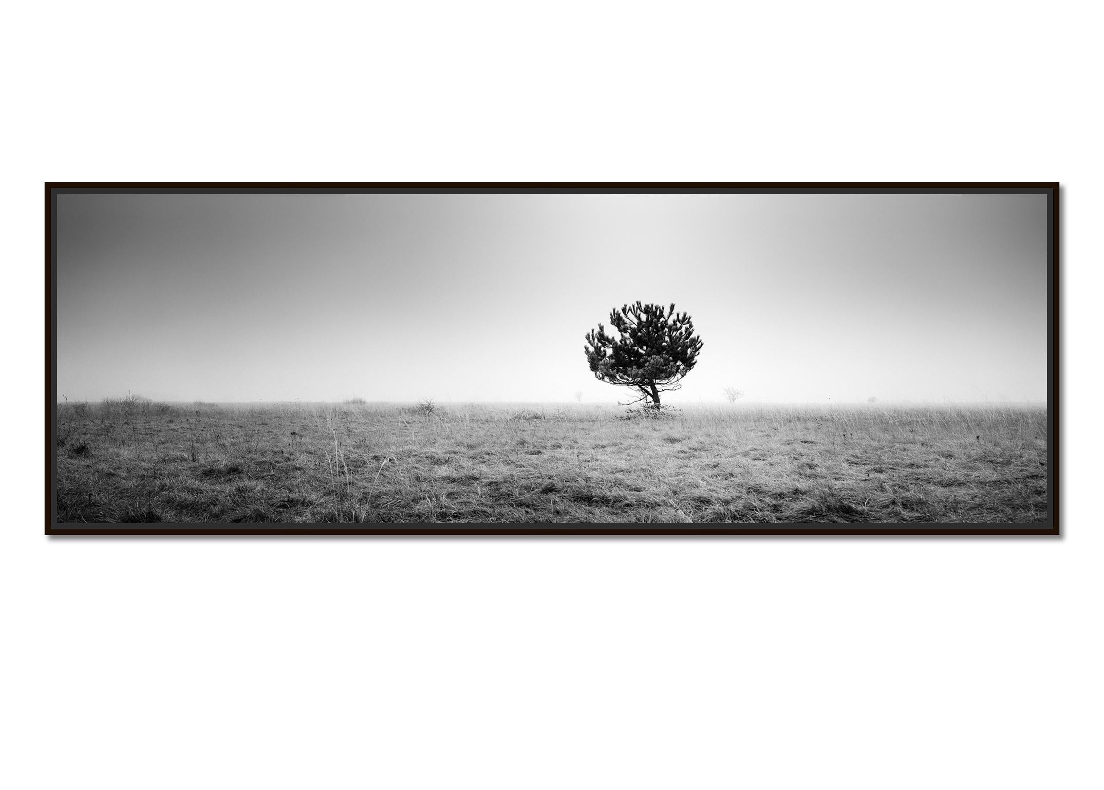 Tree in the fog, panorama, black and white, fine art photography, landscape - Photograph by Gerald Berghammer