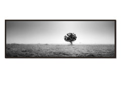 Árbol en la Niebla, Panorama, fotografía en blanco y negro, paisaje de edición limitada