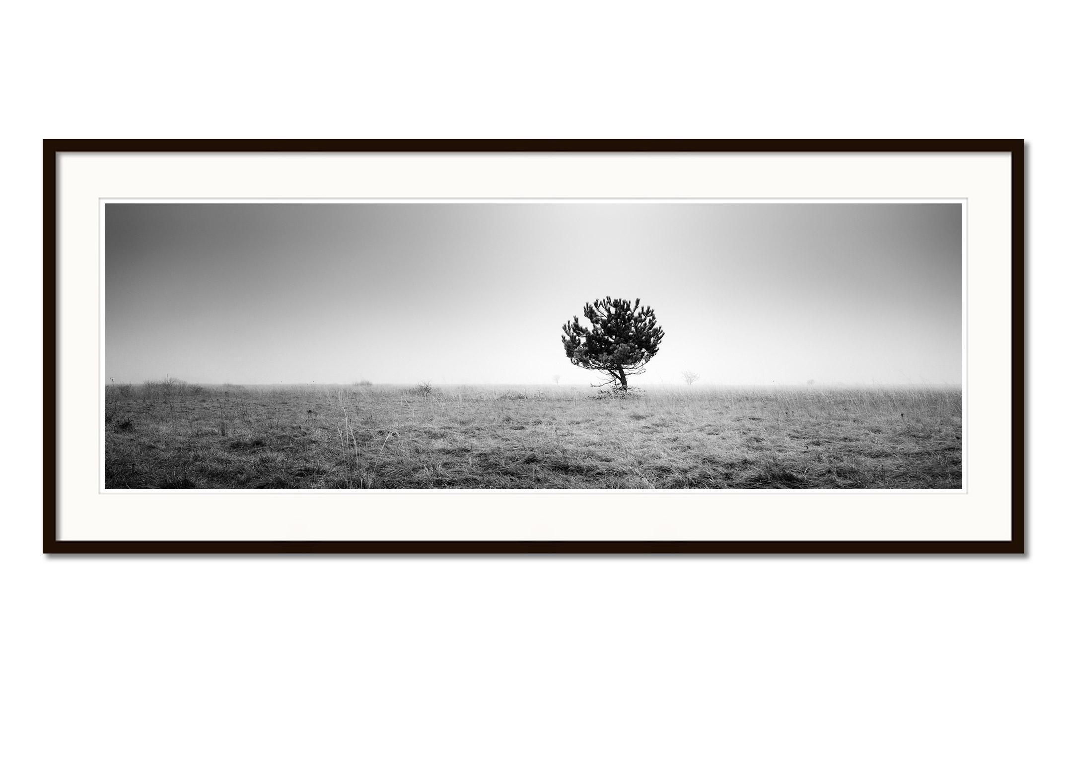 Tree in the fog, panorama, black and white, fine art photography, landscape - Contemporary Photograph by Gerald Berghammer