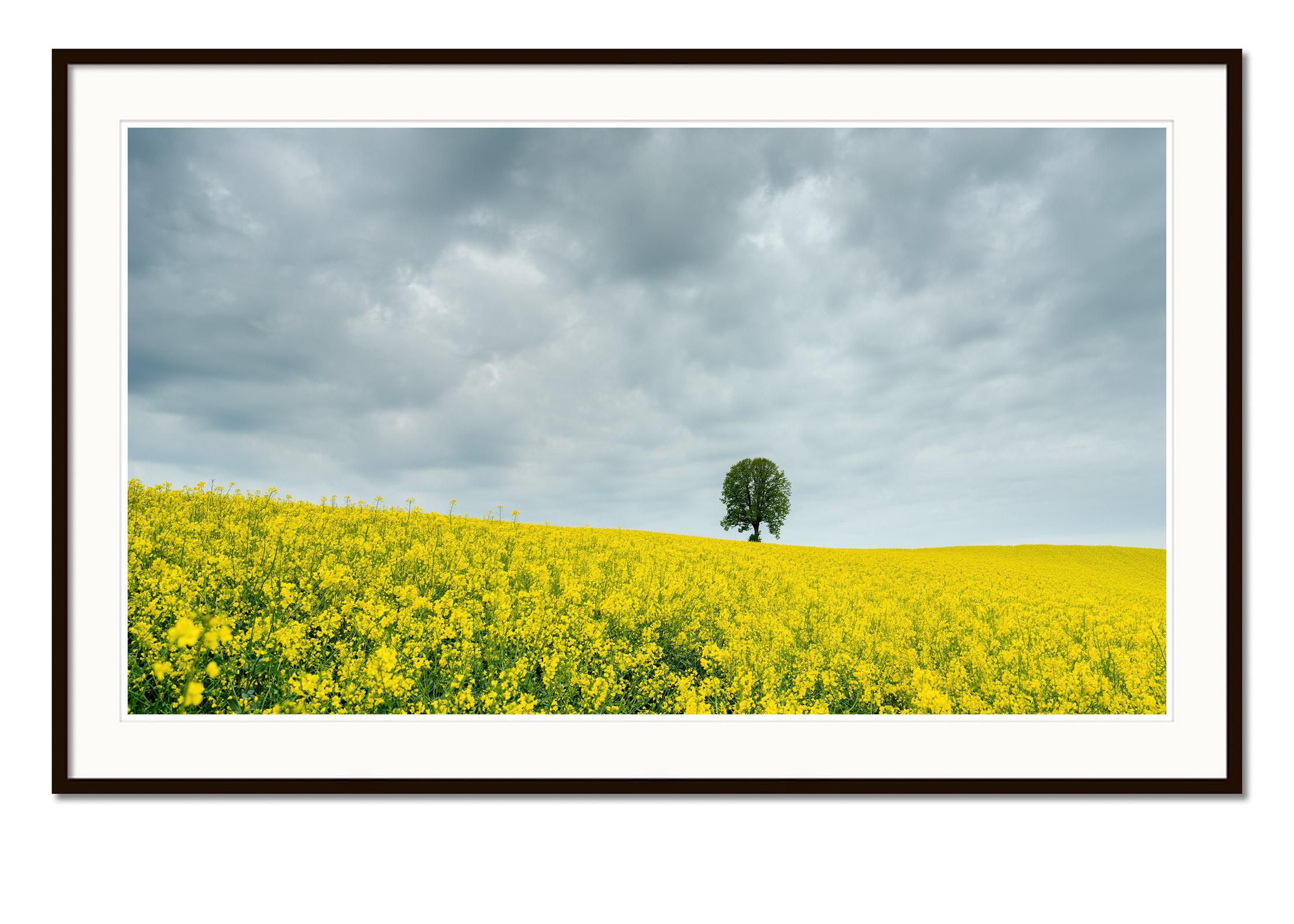 Farbige Landschaftsfotografie in der bildenden Kunst. Pigmenttintendruck in einer limitierten Auflage von 7 Exemplaren. Alle Drucke von Gerald Berghammer werden auf Bestellung in limitierter Auflage auf Hahnemuehle Photo Rag Baryta hergestellt.