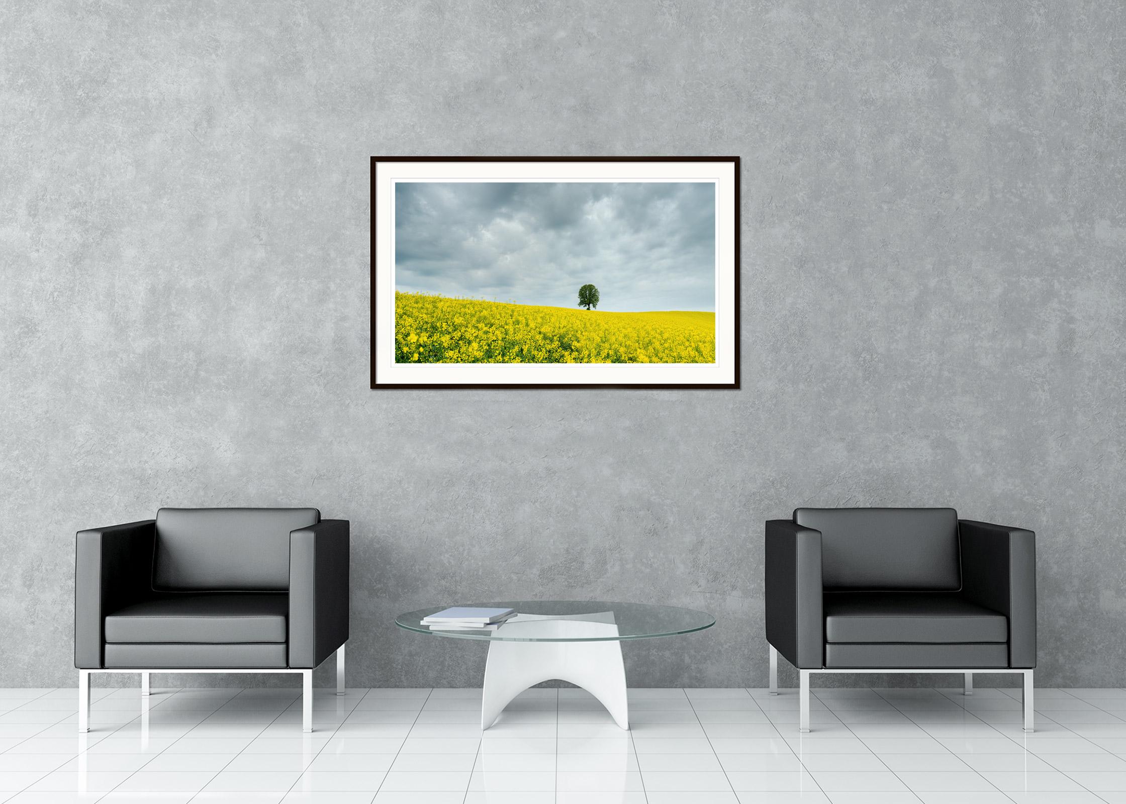 Baum in gelbem Rapeseed Field, Farbfotografie, limitierte Auflage, Landschaft im Angebot 1