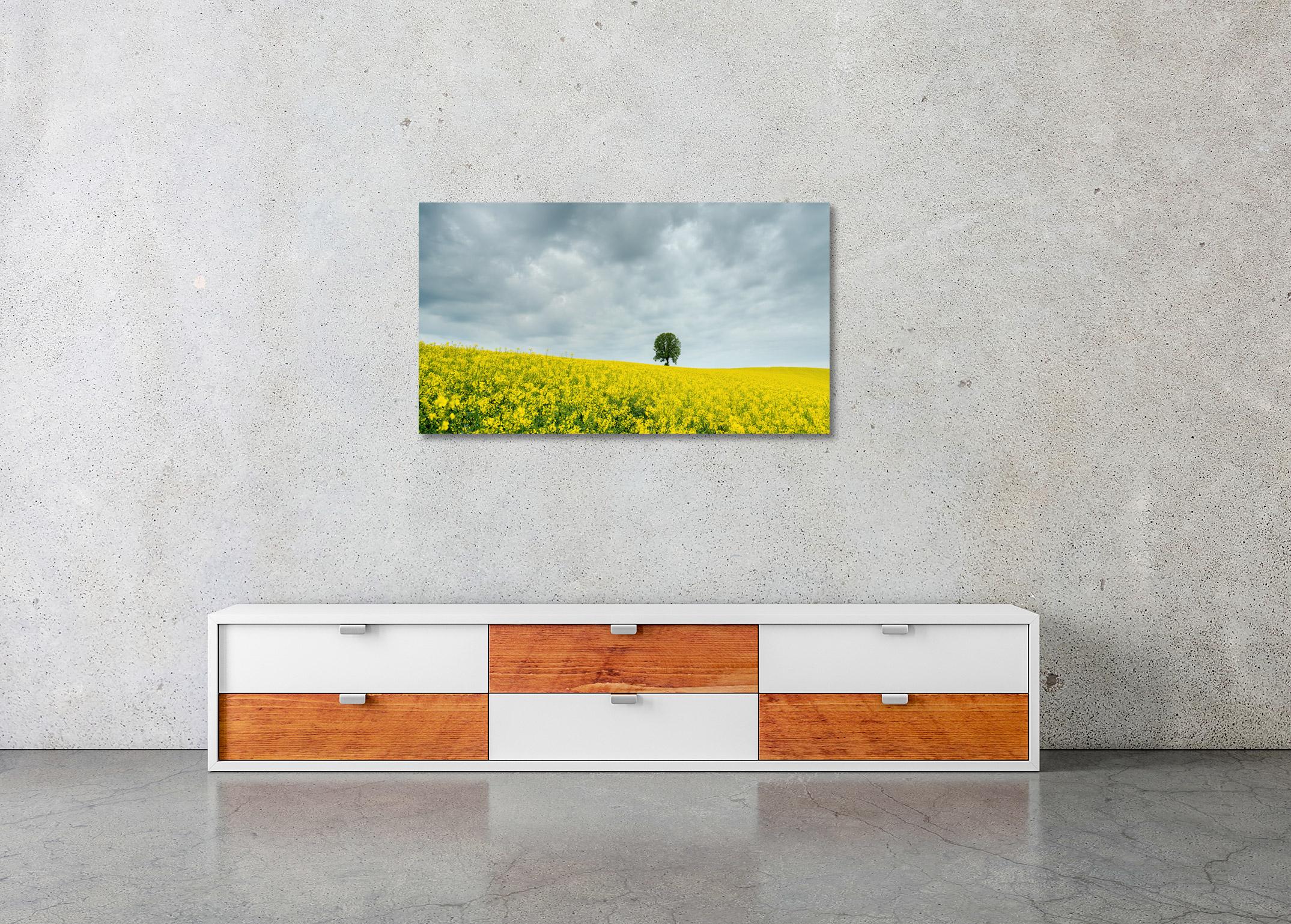 Baum in gelbem Rapeseed Field, Farbfotografie, limitierte Auflage, Landschaft im Angebot 3
