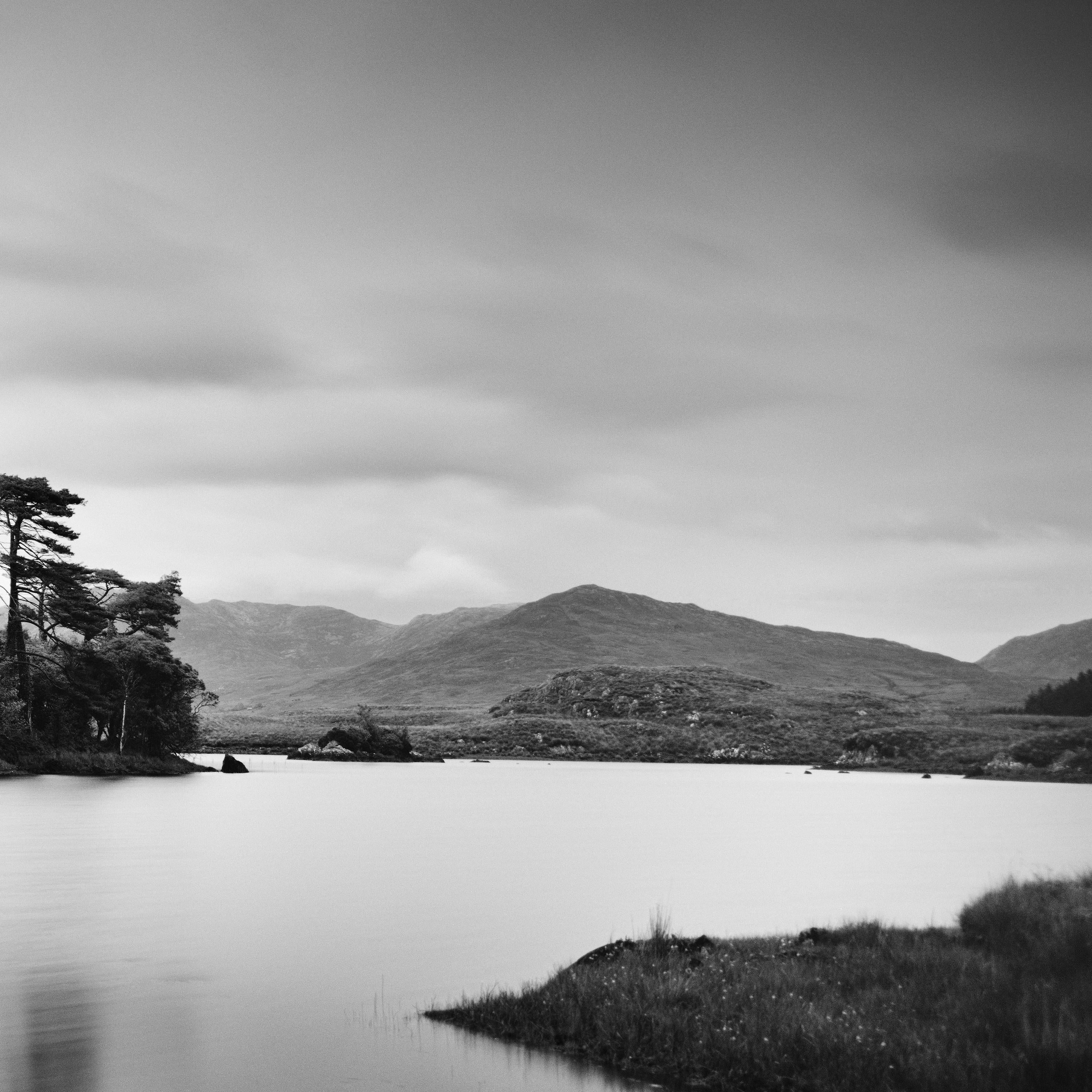 Tree Island Panorama, contemporary black and white art waterscape photo print For Sale 2