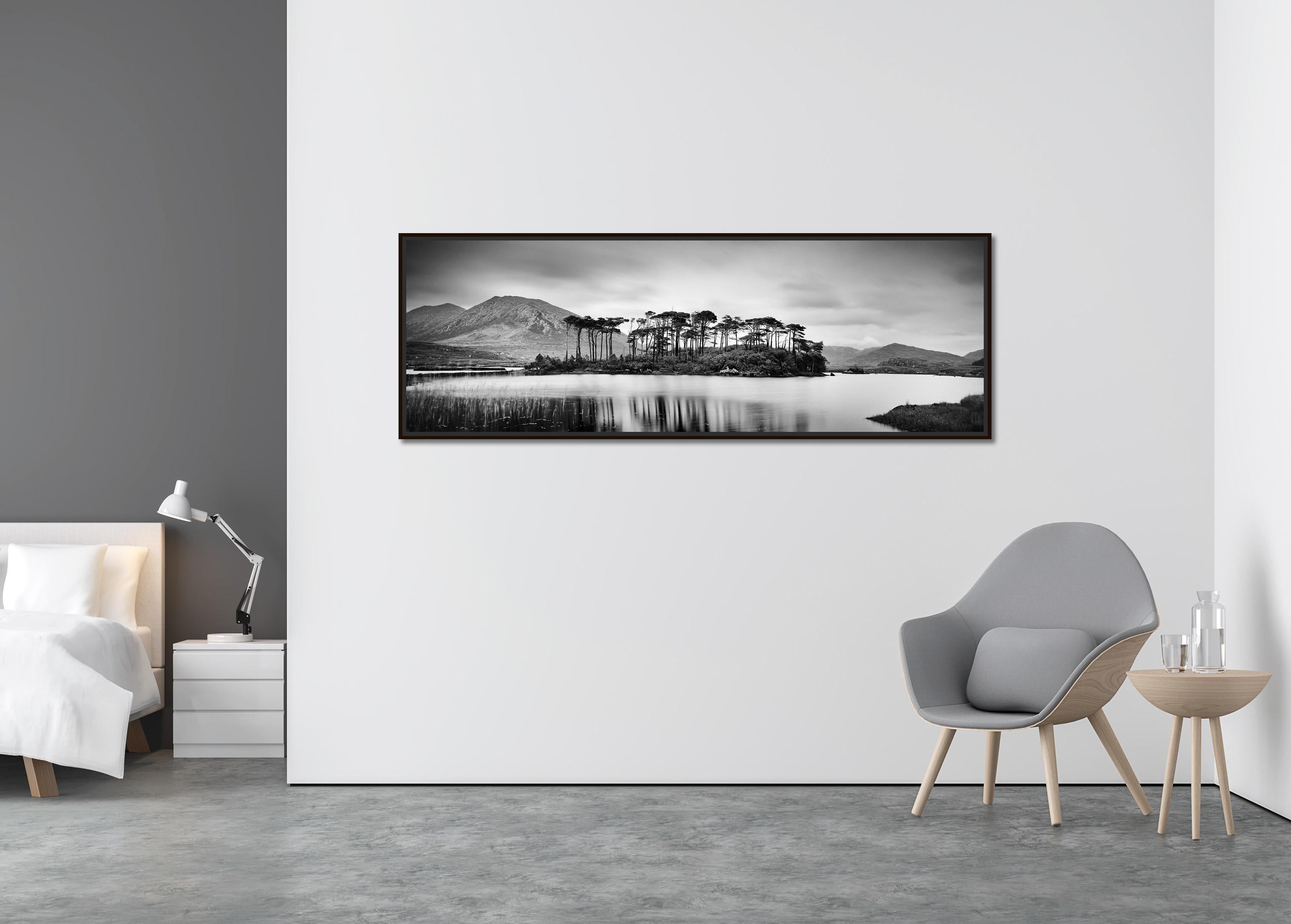 Bauminsel Panorama, zeitgenössischer Schwarz-Weiß-Fotodruck mit Wasserlandschaft (Zeitgenössisch), Photograph, von Gerald Berghammer