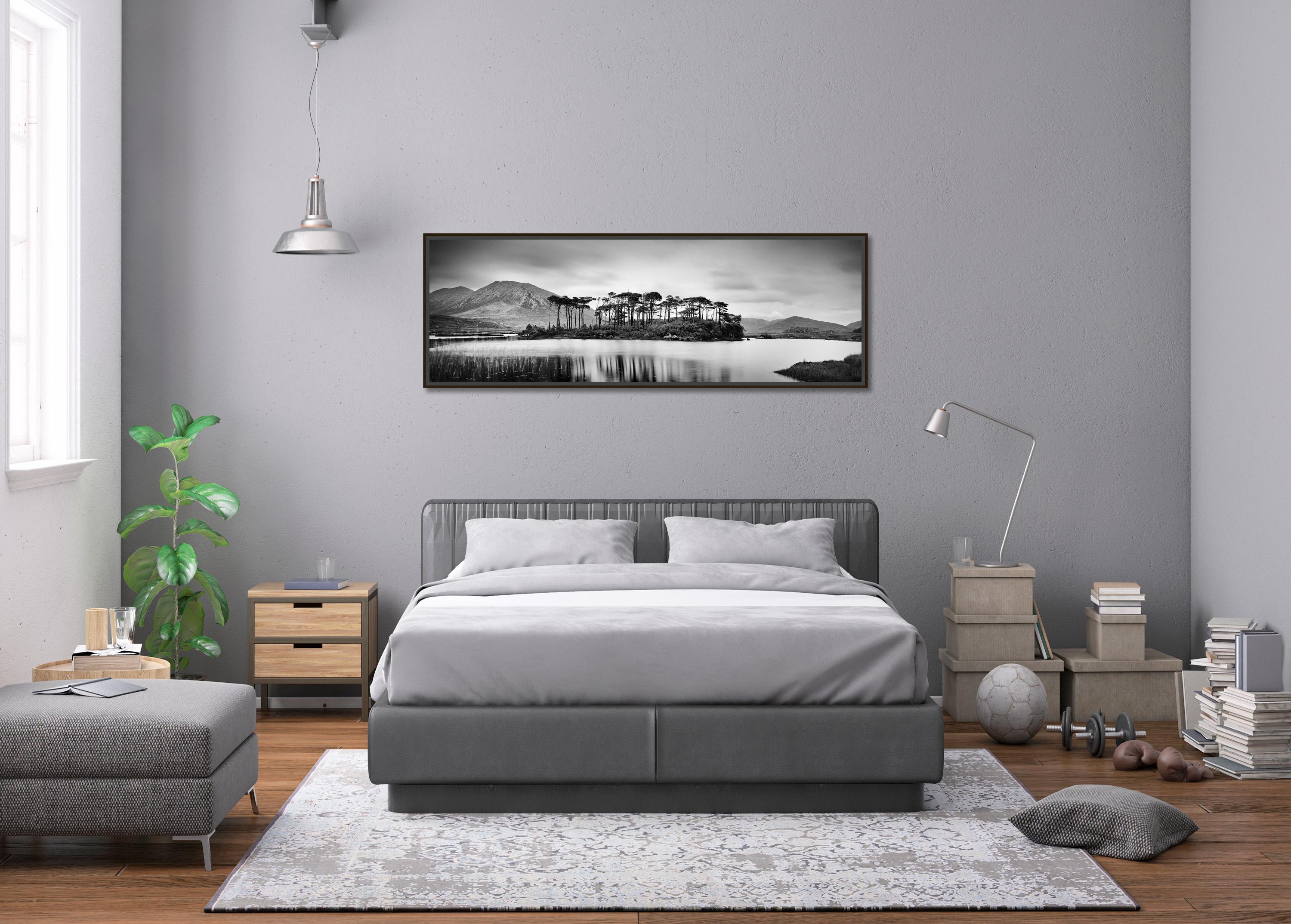 Tree Island Panorama, contemporary black and white art waterscape photo print - Contemporary Photograph by Gerald Berghammer