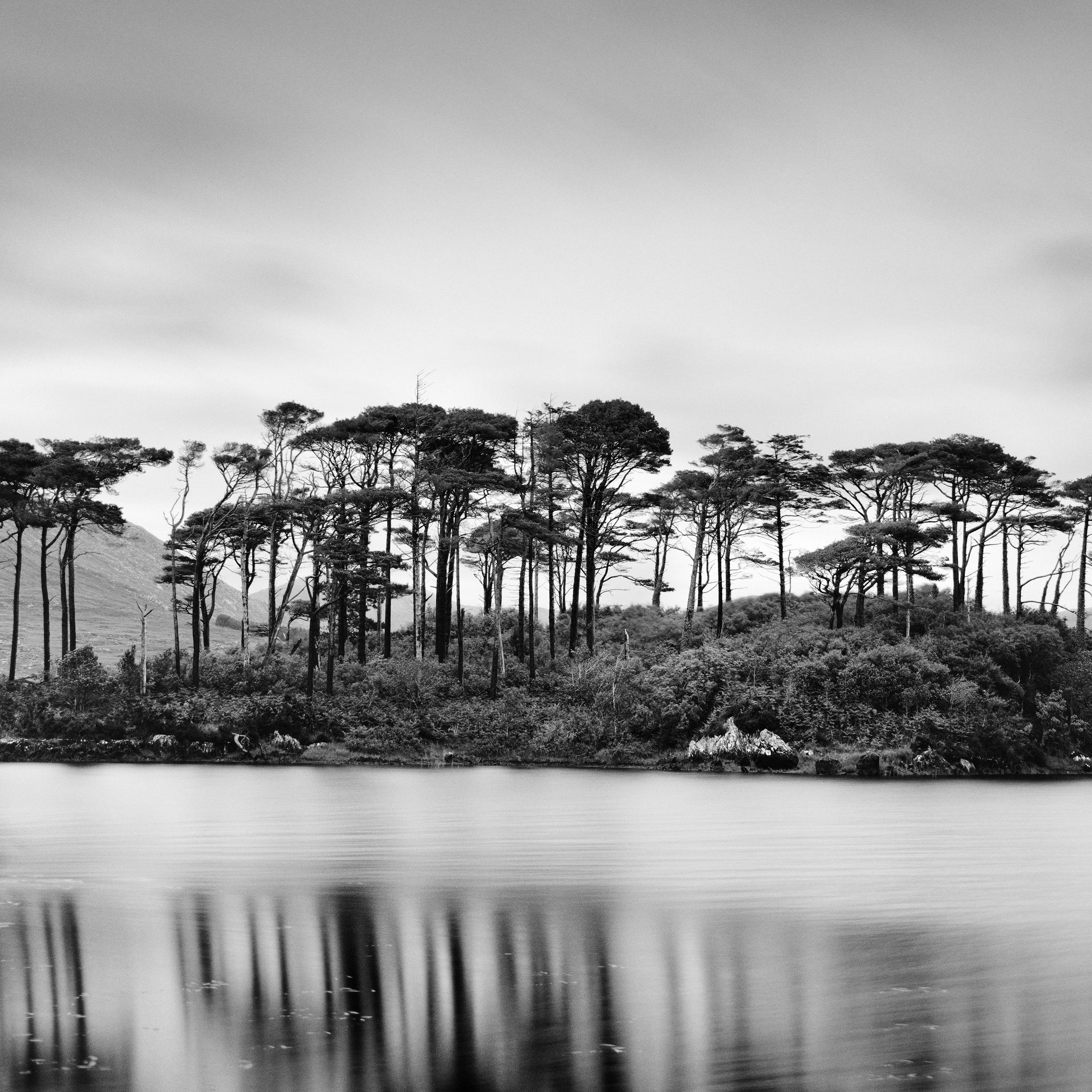 Tree Island Panorama, contemporary black and white art waterscape photo print For Sale 1