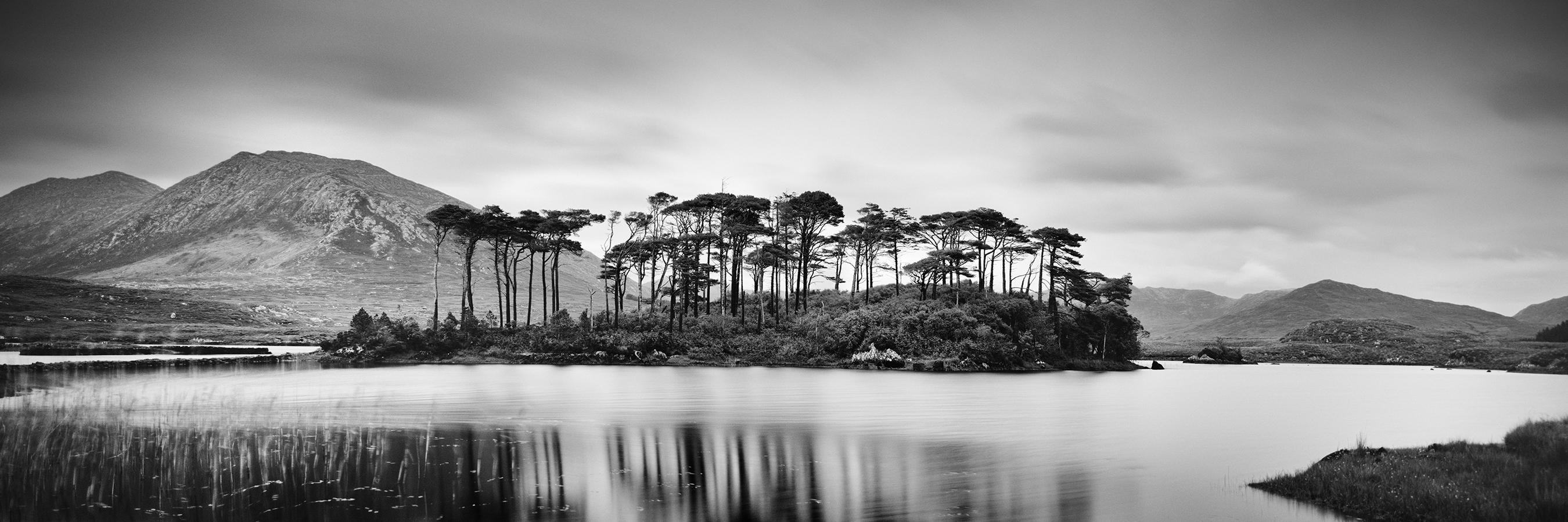 Gerald Berghammer Black and White Photograph - Tree Island Panorama, contemporary black and white art waterscape photo print