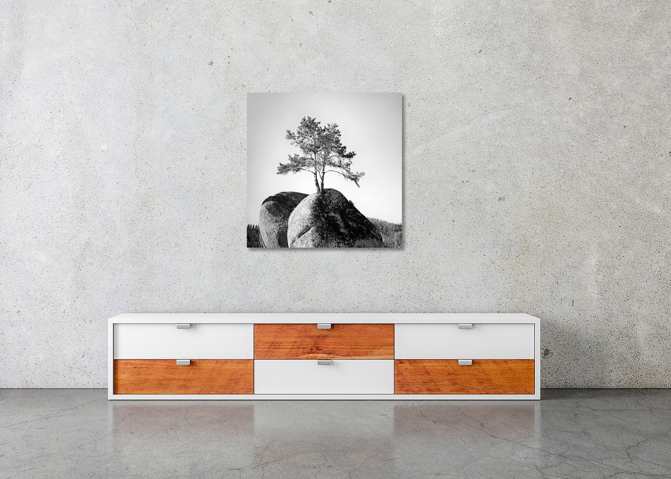 Tree on the Rock Austria minimalist black white landscape fine art photography - Gray Landscape Photograph by Gerald Berghammer