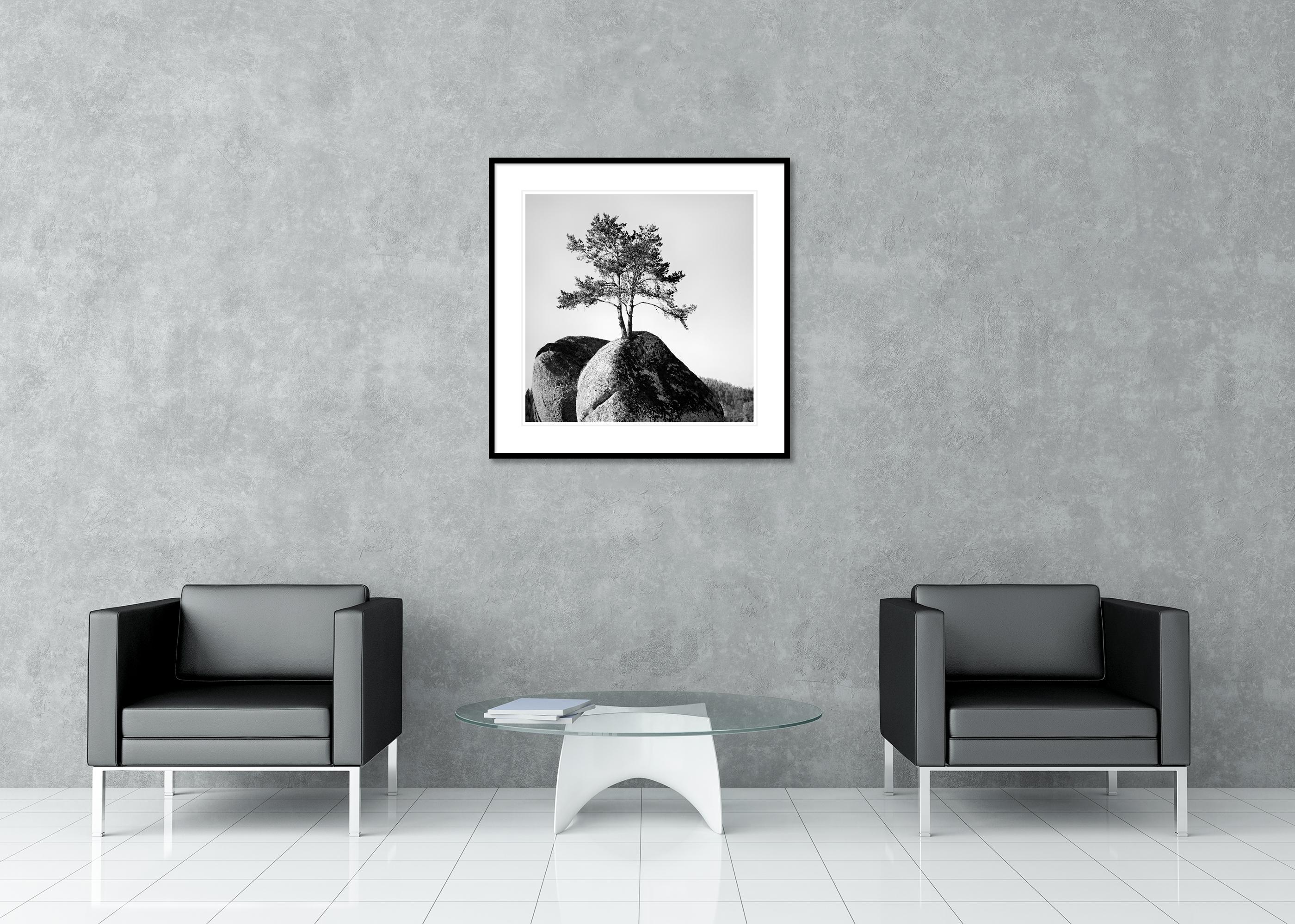 Einsamer Baum auf dem Felsen, minimalistische Landschaft, Fotografie in limitierter Auflage, Druck im Angebot 2