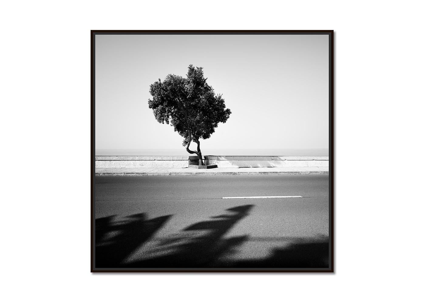 Tree on the Waterfront, monochrome Landschaft, Fotografie, Druck in limitierter Auflage – Photograph von Gerald Berghammer