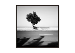 Tree on the Waterfront monochrome landscape photograph limited edition print
