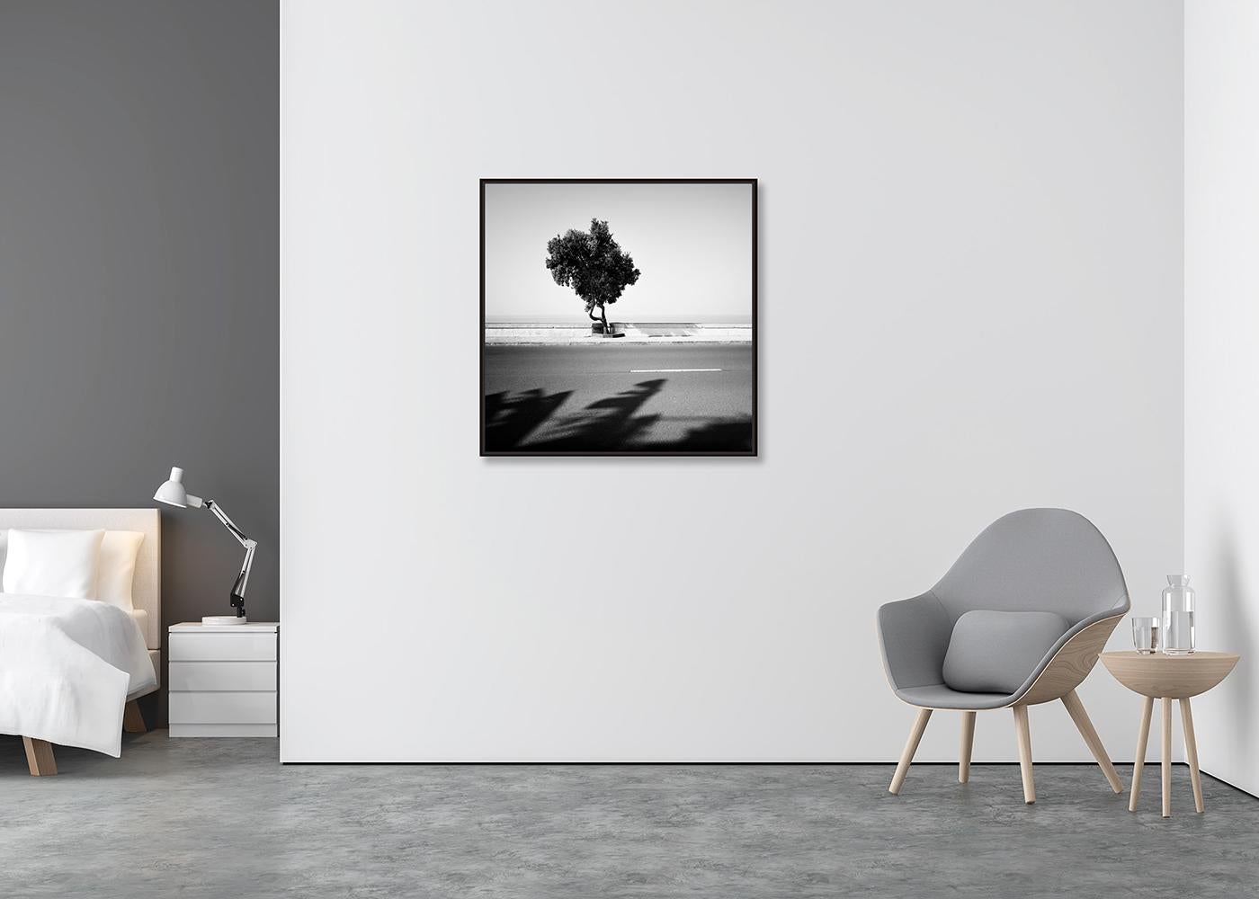 Tree on the Waterfront, monochrome Landschaft, Fotografie, Druck in limitierter Auflage (Zeitgenössisch), Photograph, von Gerald Berghammer