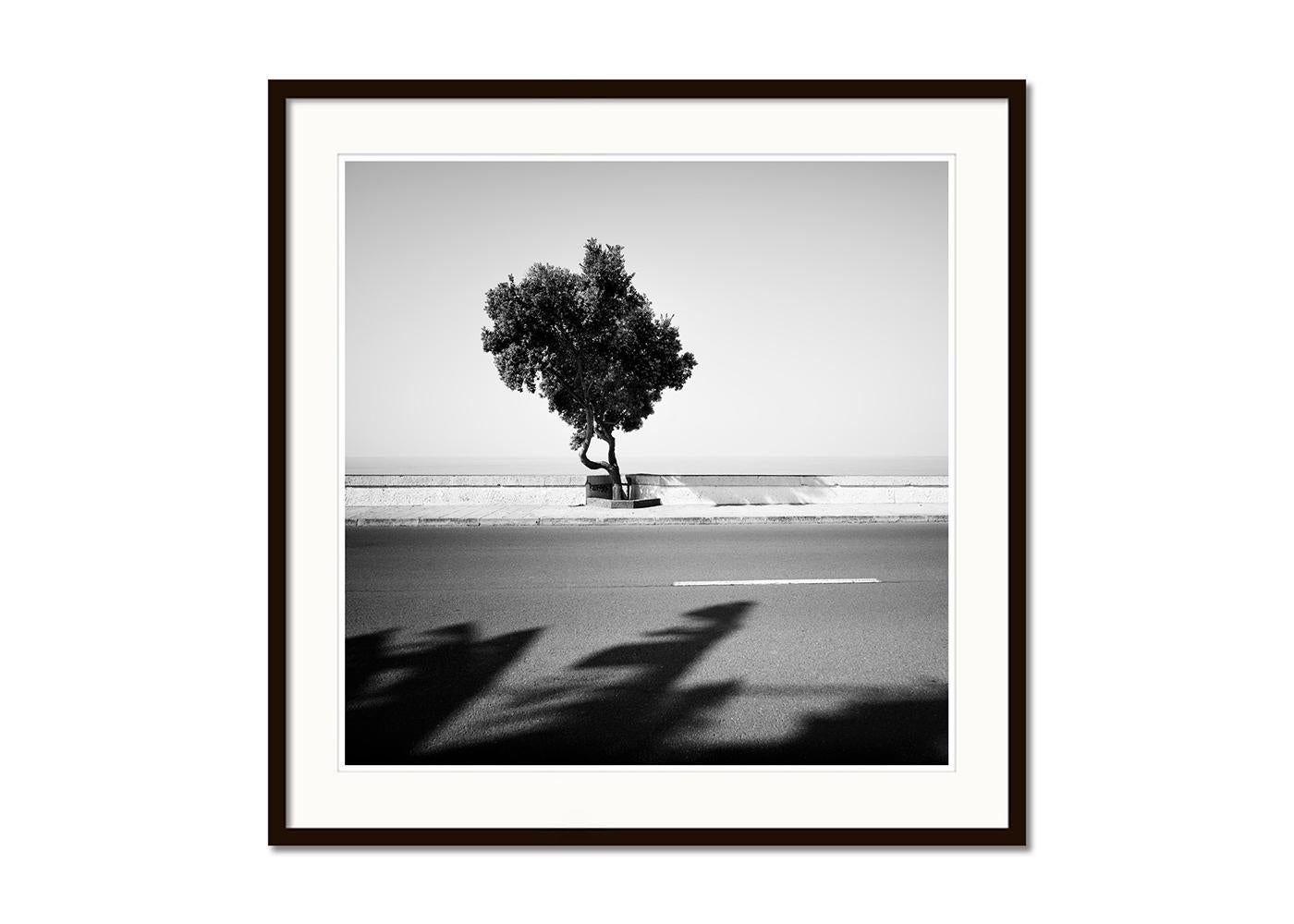 Tree on the Waterfront, monochrome Landschaft, Fotografie, Druck in limitierter Auflage (Grau), Black and White Photograph, von Gerald Berghammer