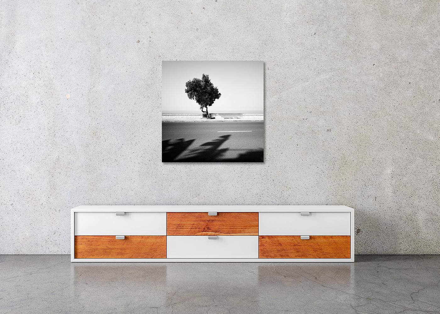 Tree on the Waterfront, monochrome Landschaft, Fotografie, Druck in limitierter Auflage im Angebot 2