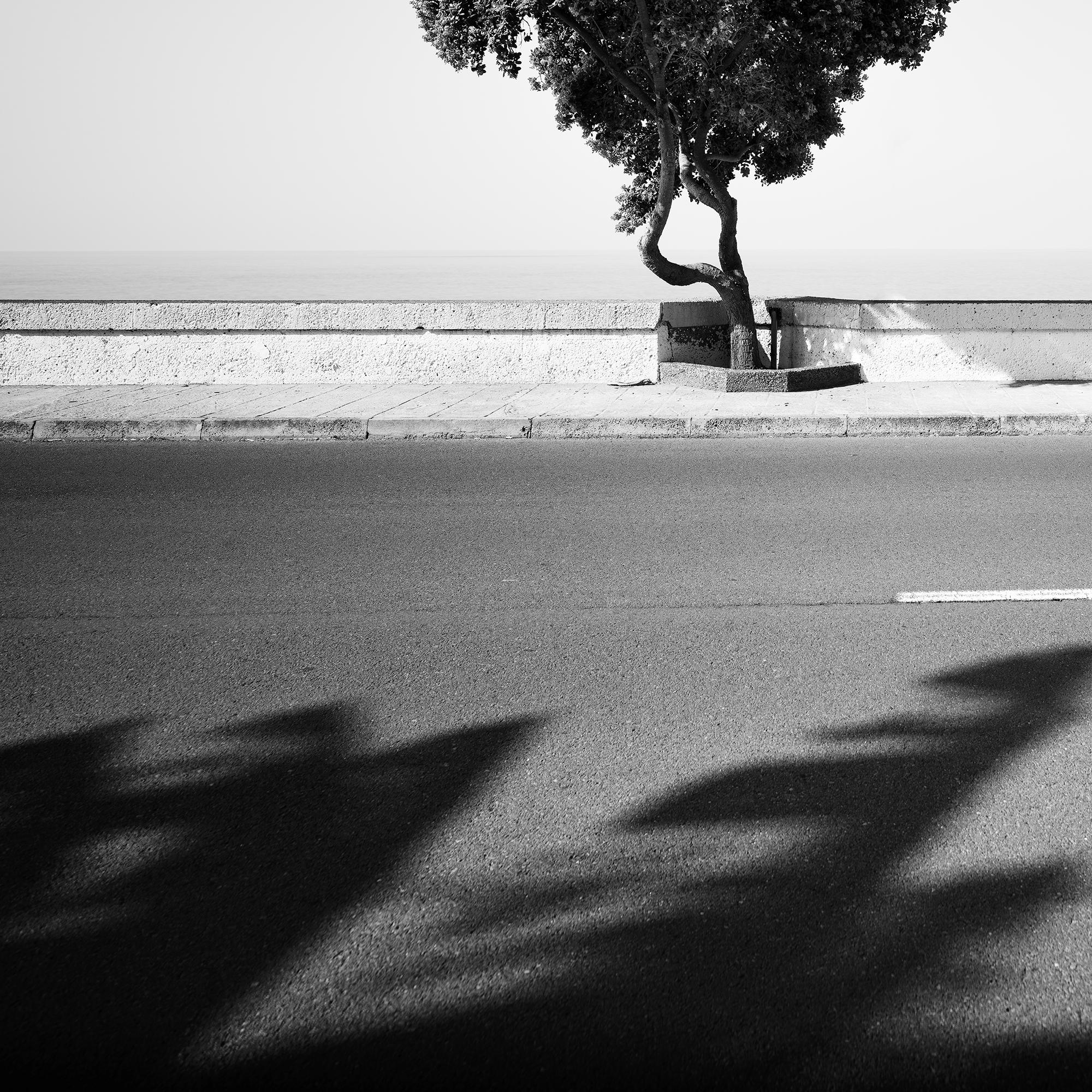 Tree on the Waterfront, monochrome Landschaft, Fotografie, Druck in limitierter Auflage im Angebot 3