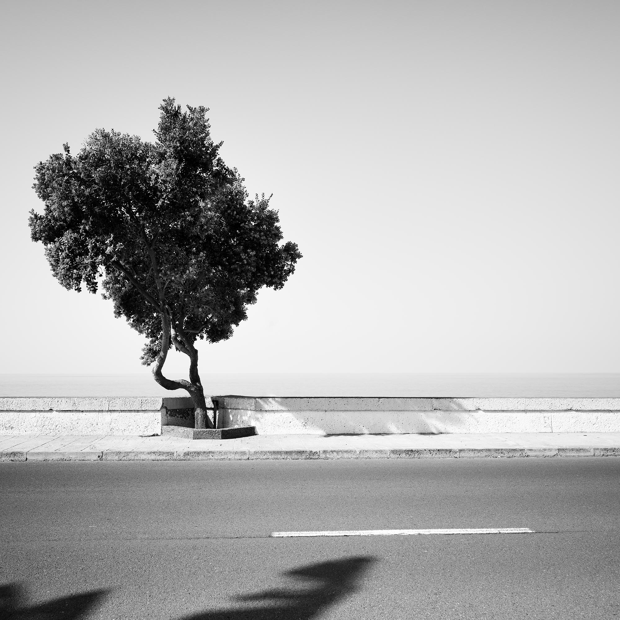 Tree on the Waterfront, monochrome Landschaft, Fotografie, Druck in limitierter Auflage im Angebot 4