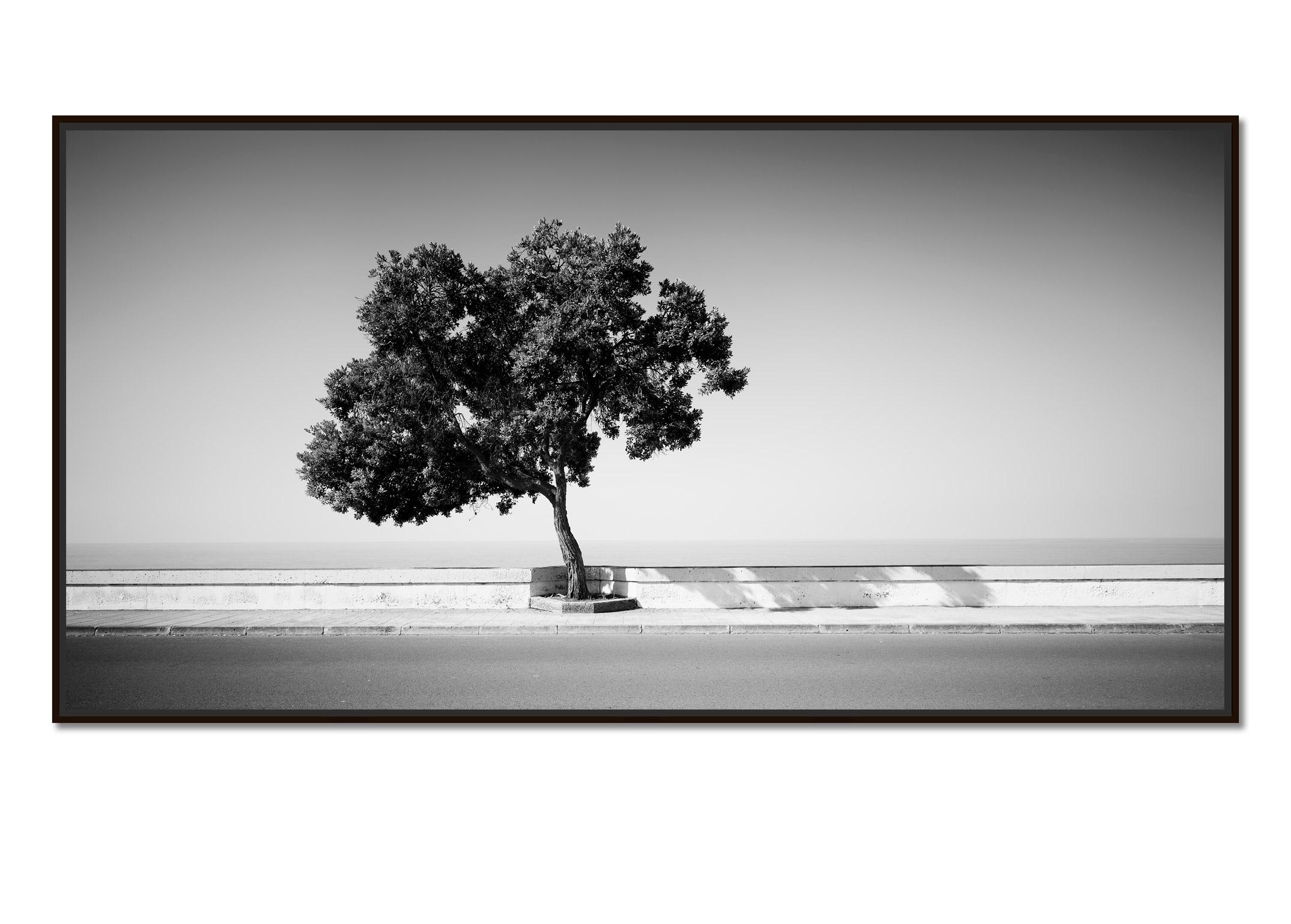 Tree on the Waterfront, Portugal, black and white photography, art landscape - Photograph by Gerald Berghammer