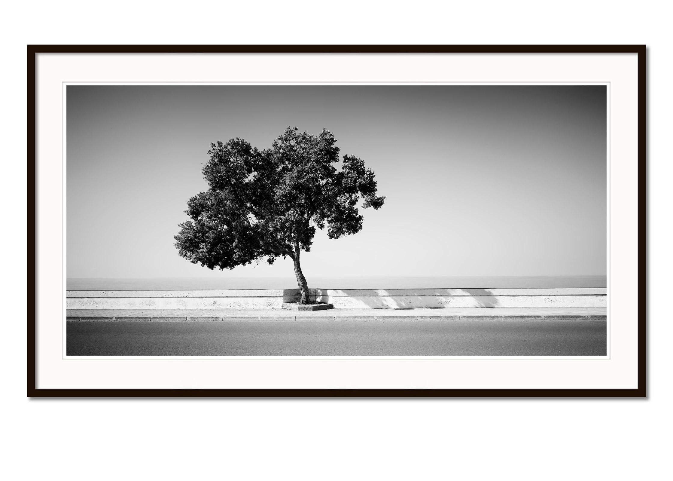 Tree on the Waterfront, Portugal, black and white photography, art landscape - Contemporary Photograph by Gerald Berghammer