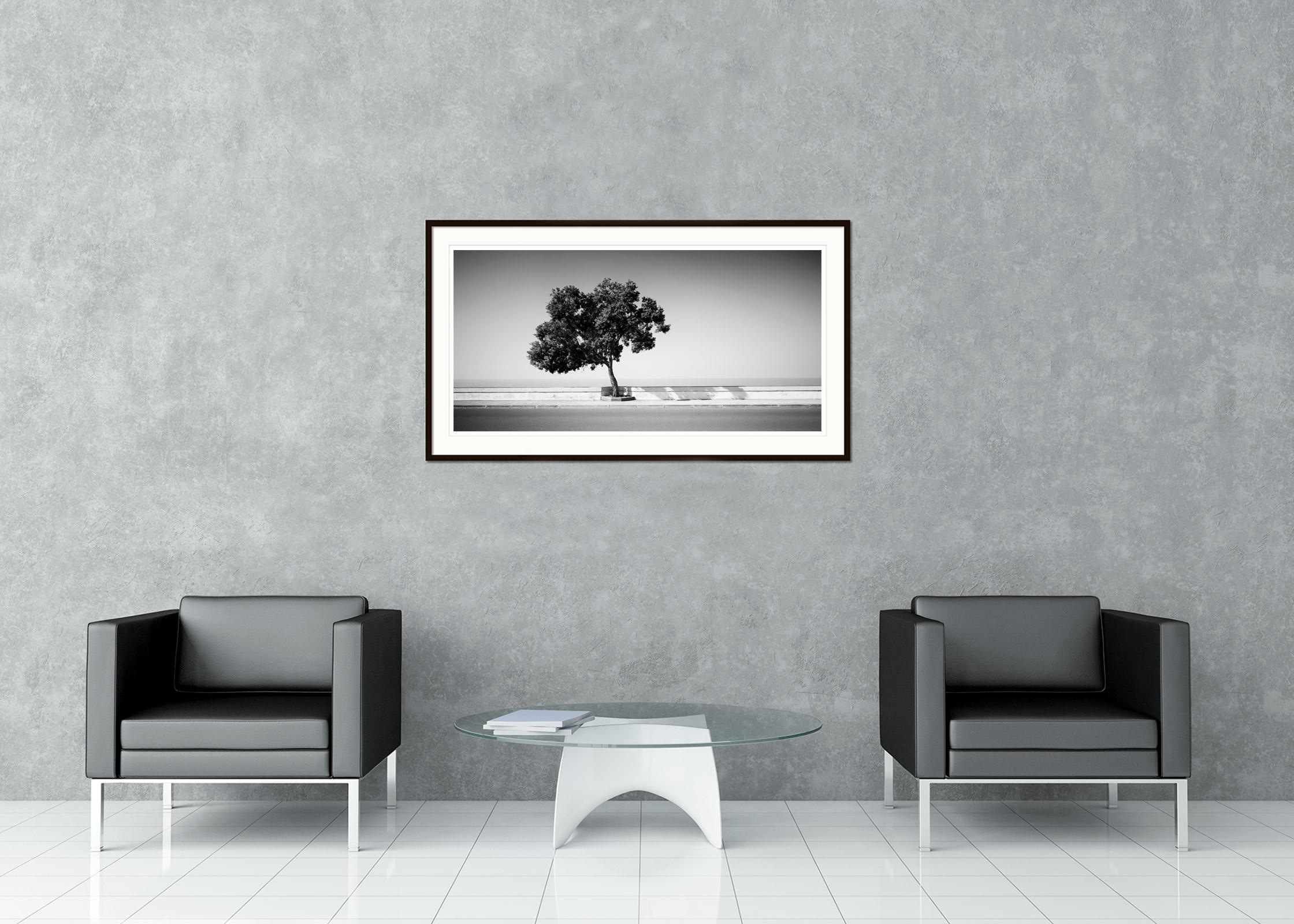 Tree on the Waterfront, Portugal, black and white photography, art landscape - Gray Landscape Photograph by Gerald Berghammer