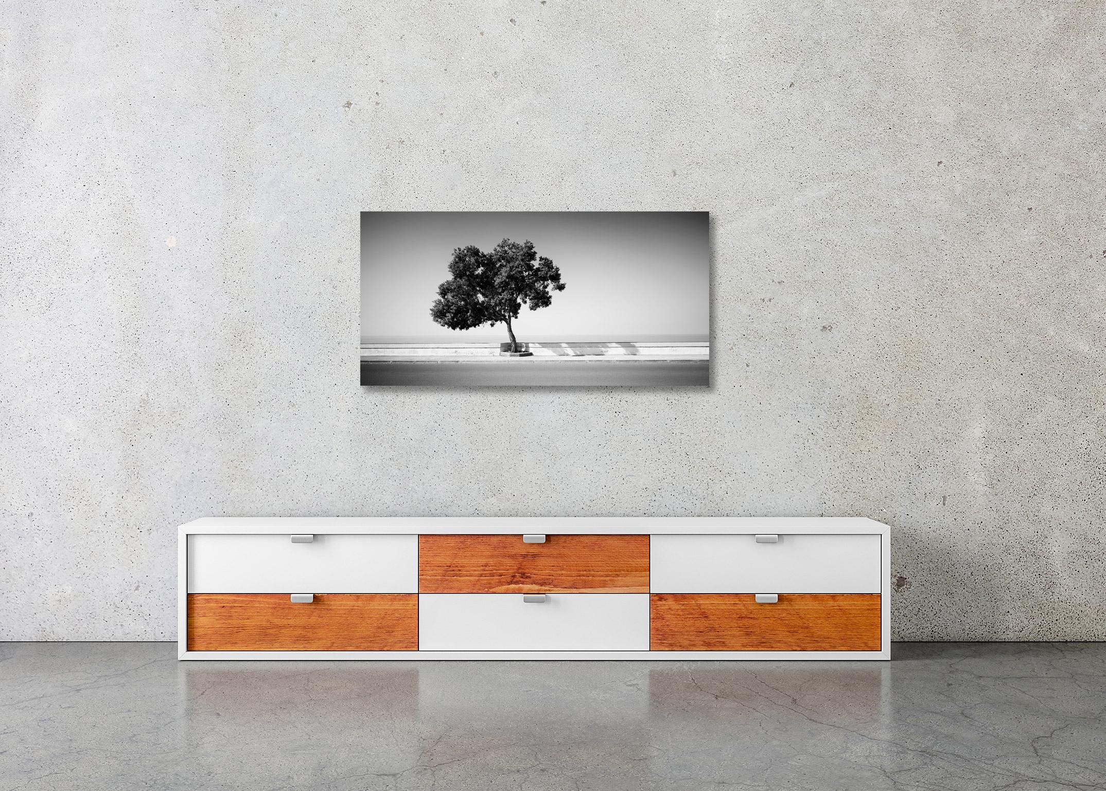Tree on the Waterfront, Portugal, black and white photography, art landscape For Sale 1