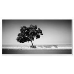 Tree on the Waterfront, Portugal, black and white photography, landscape