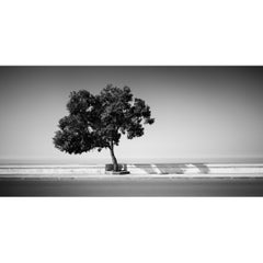 Tree on the Waterfront, Portugal, black and white photography, landscape
