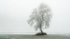 Landscape Photography