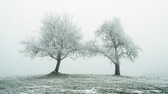 Color Photography