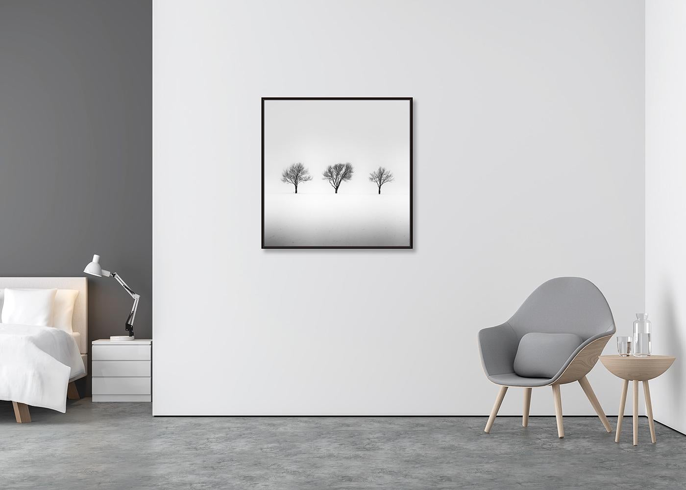 Drei Bäume in verschneitemtem Feld, minmalistische Landschaftsfotografie, limitierte Auflage (Zeitgenössisch), Photograph, von Gerald Berghammer