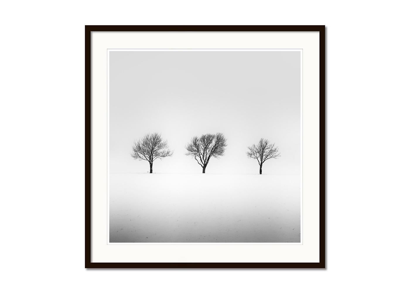 Drei Bäume in verschneitemtem Feld, minmalistische Landschaftsfotografie, limitierte Auflage (Grau), Landscape Photograph, von Gerald Berghammer