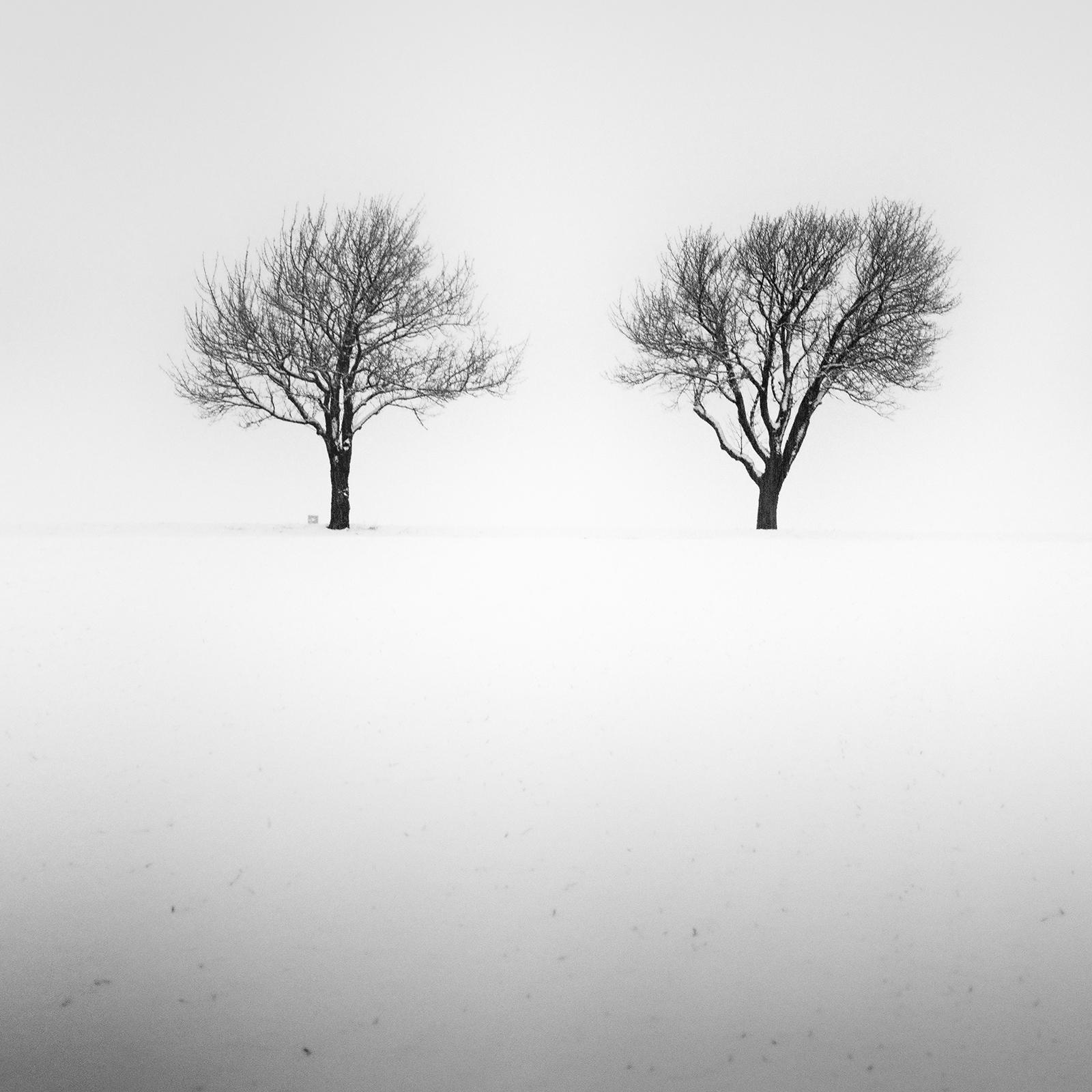 Drei Bäume in verschneitemtem Feld, minmalistische Landschaftsfotografie, limitierte Auflage im Angebot 3