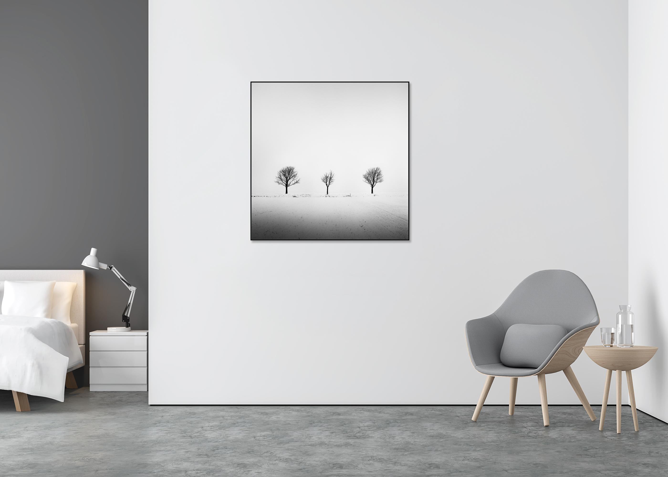 Trees in snowy Field, minimale Fotografie, Winterlandschaft, limitierte Auflage (Grau), Black and White Photograph, von Gerald Berghammer